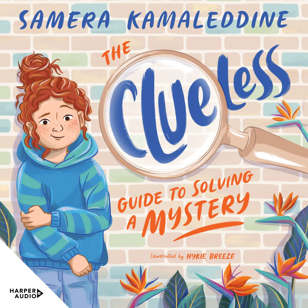 The Clueless Guide to Solving a Mystery (Clueless, #1)