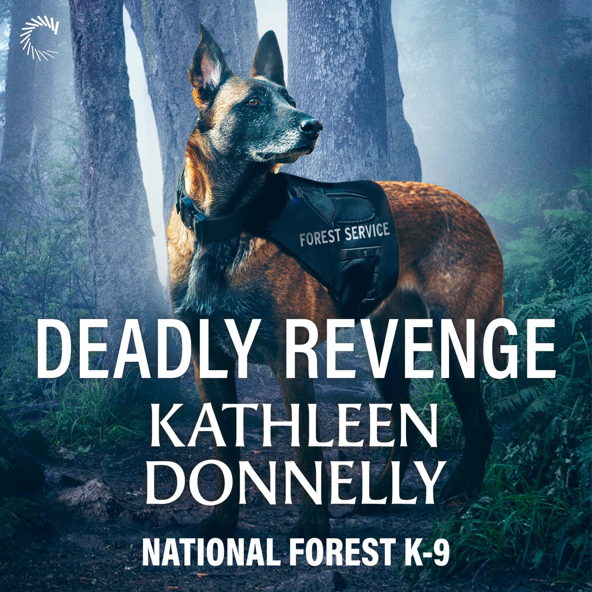 Deadly Revenge
