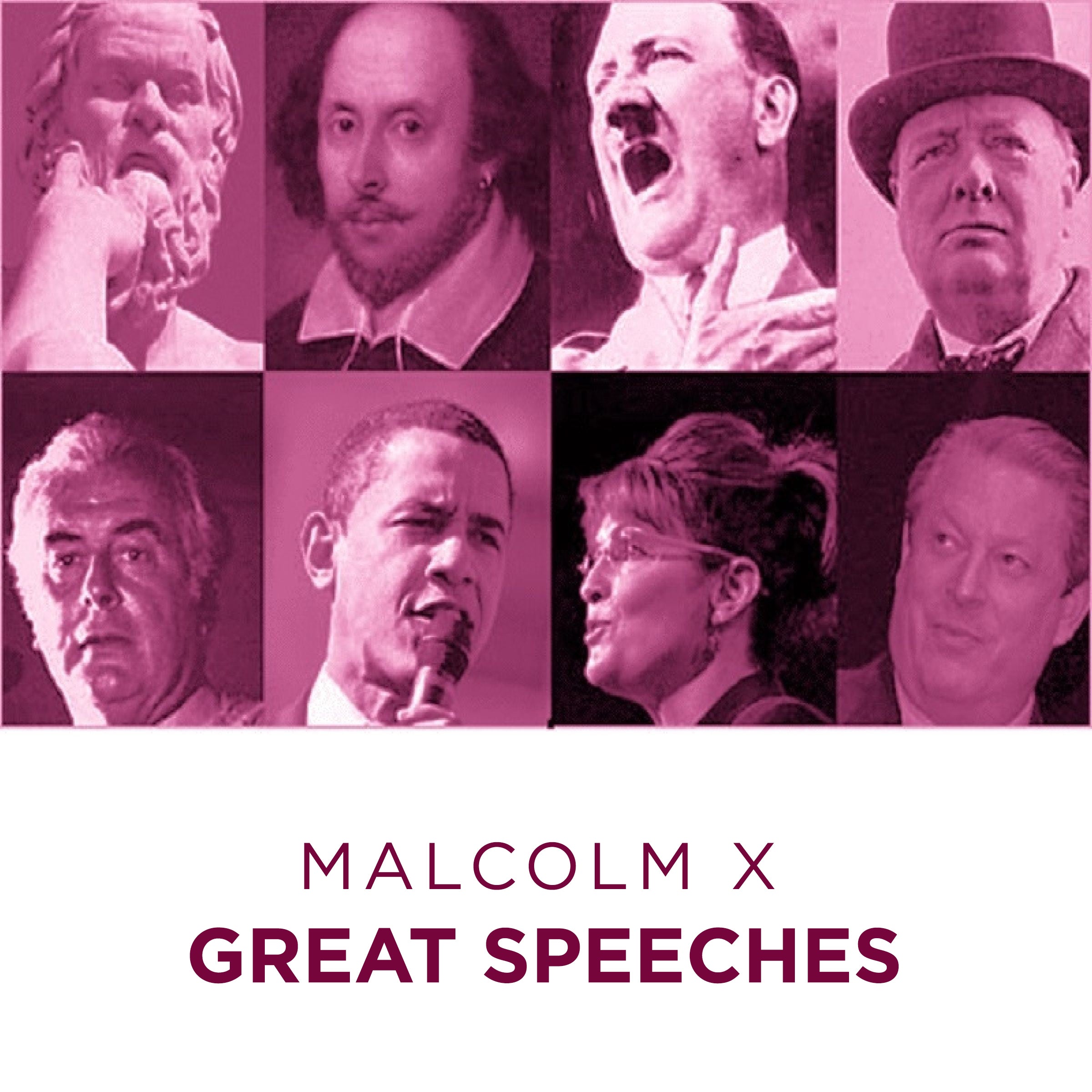 Great Speeches Malcolm X