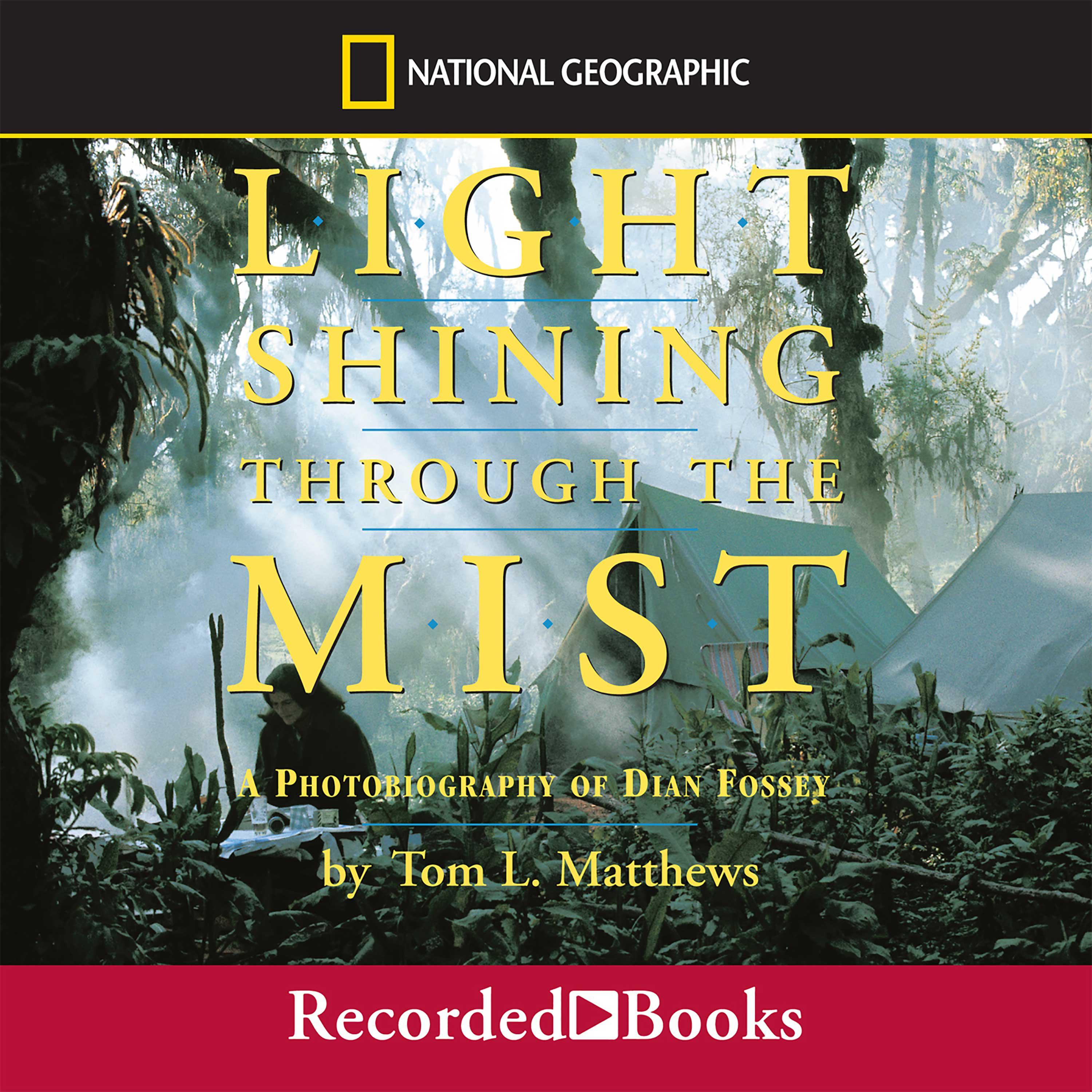 Light Shining Through the Mist
