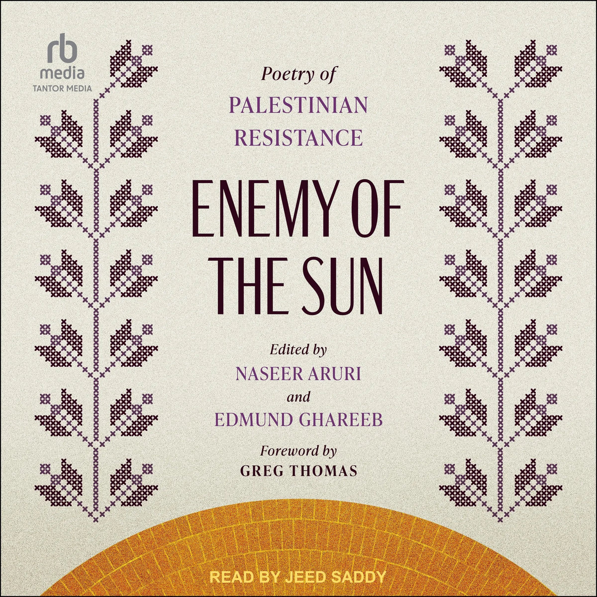 Enemy of the Sun