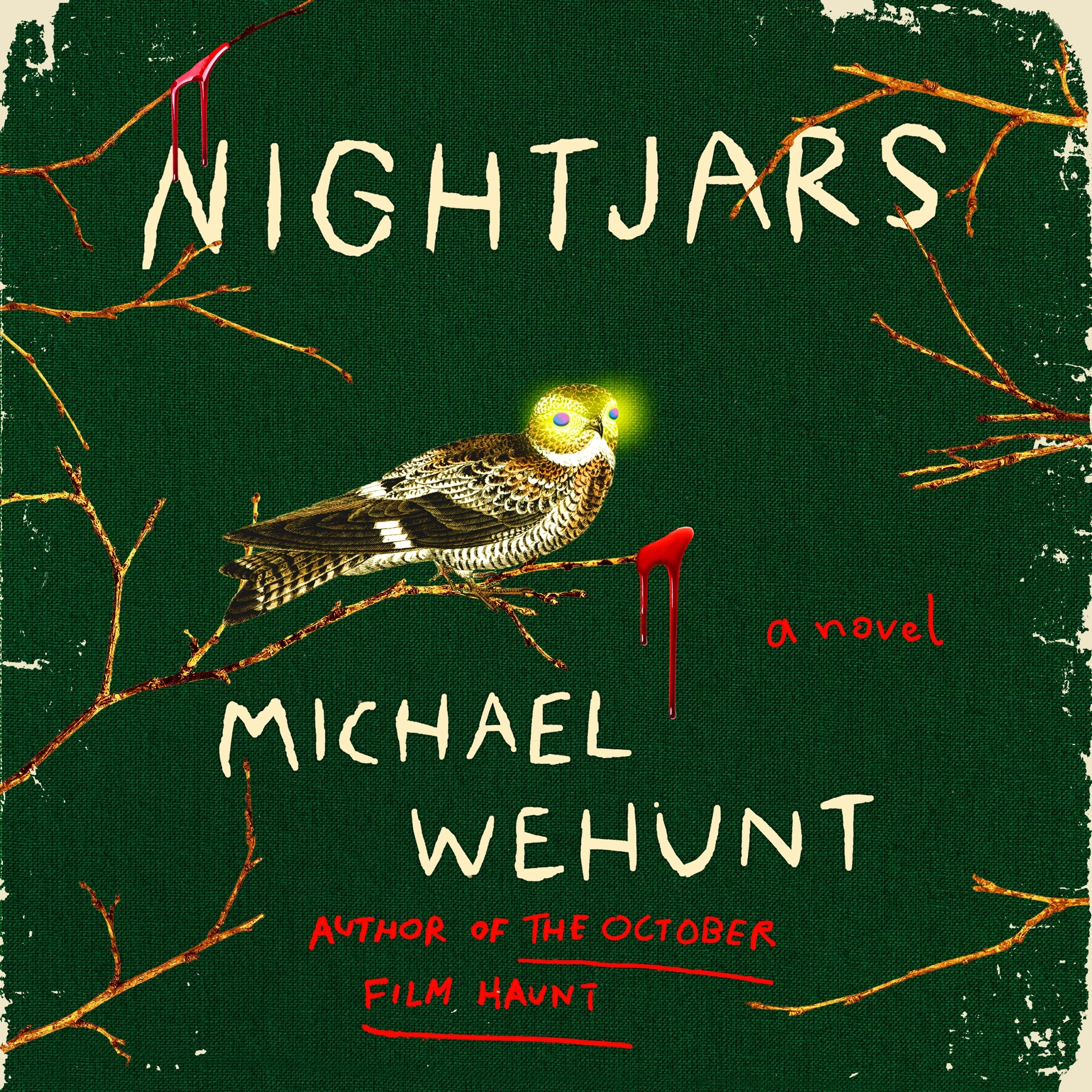 Nightjars