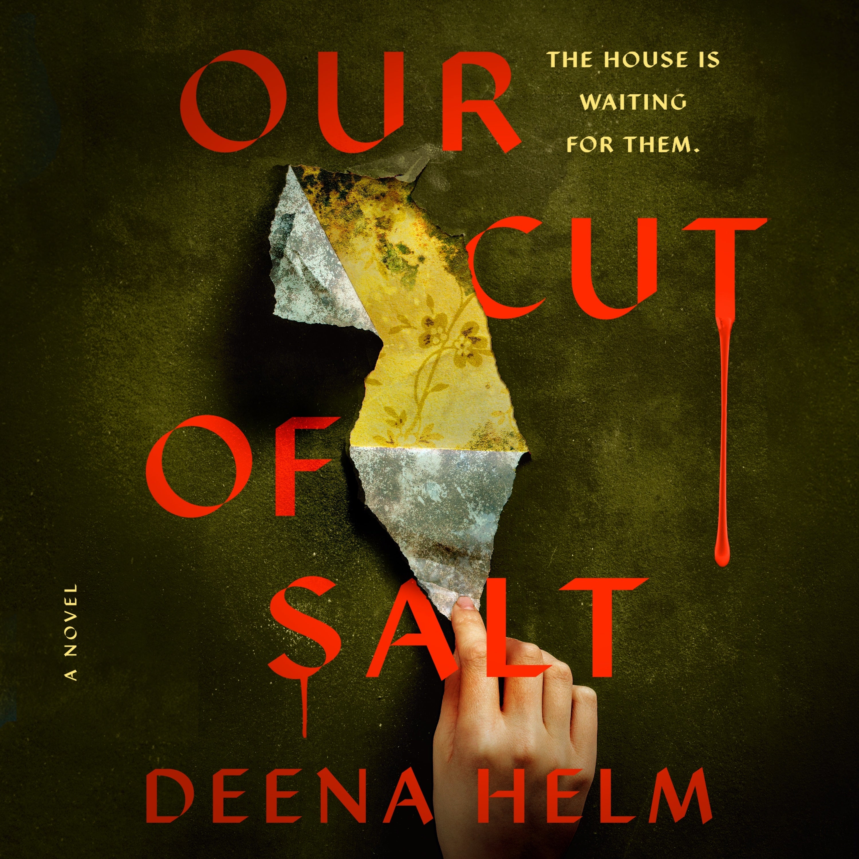 Our Cut of Salt