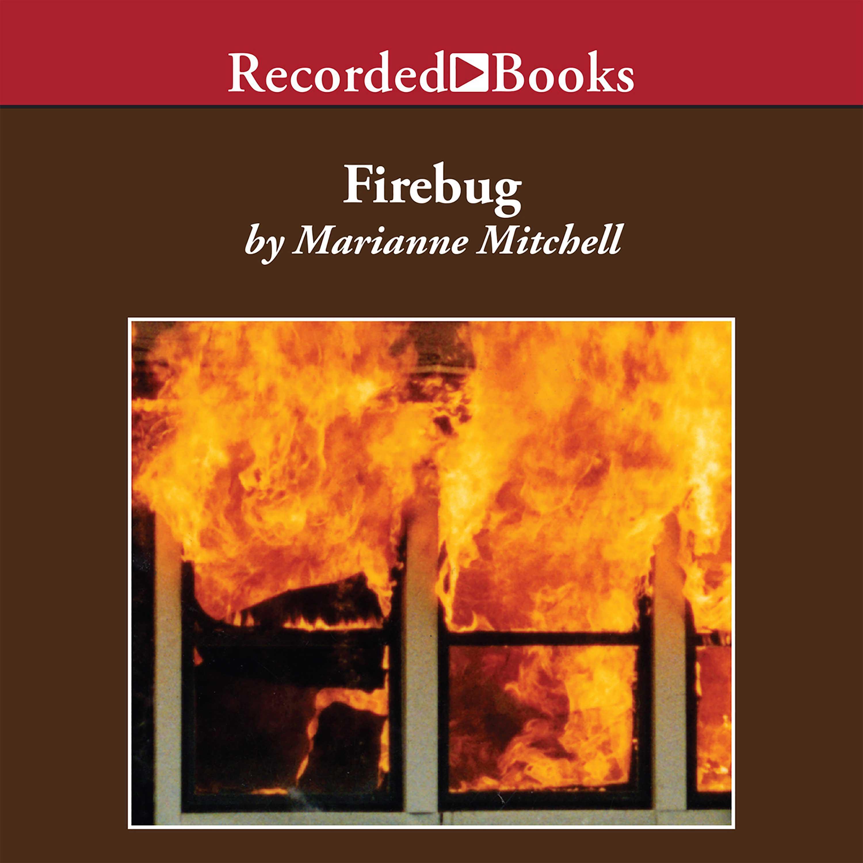 Firebug