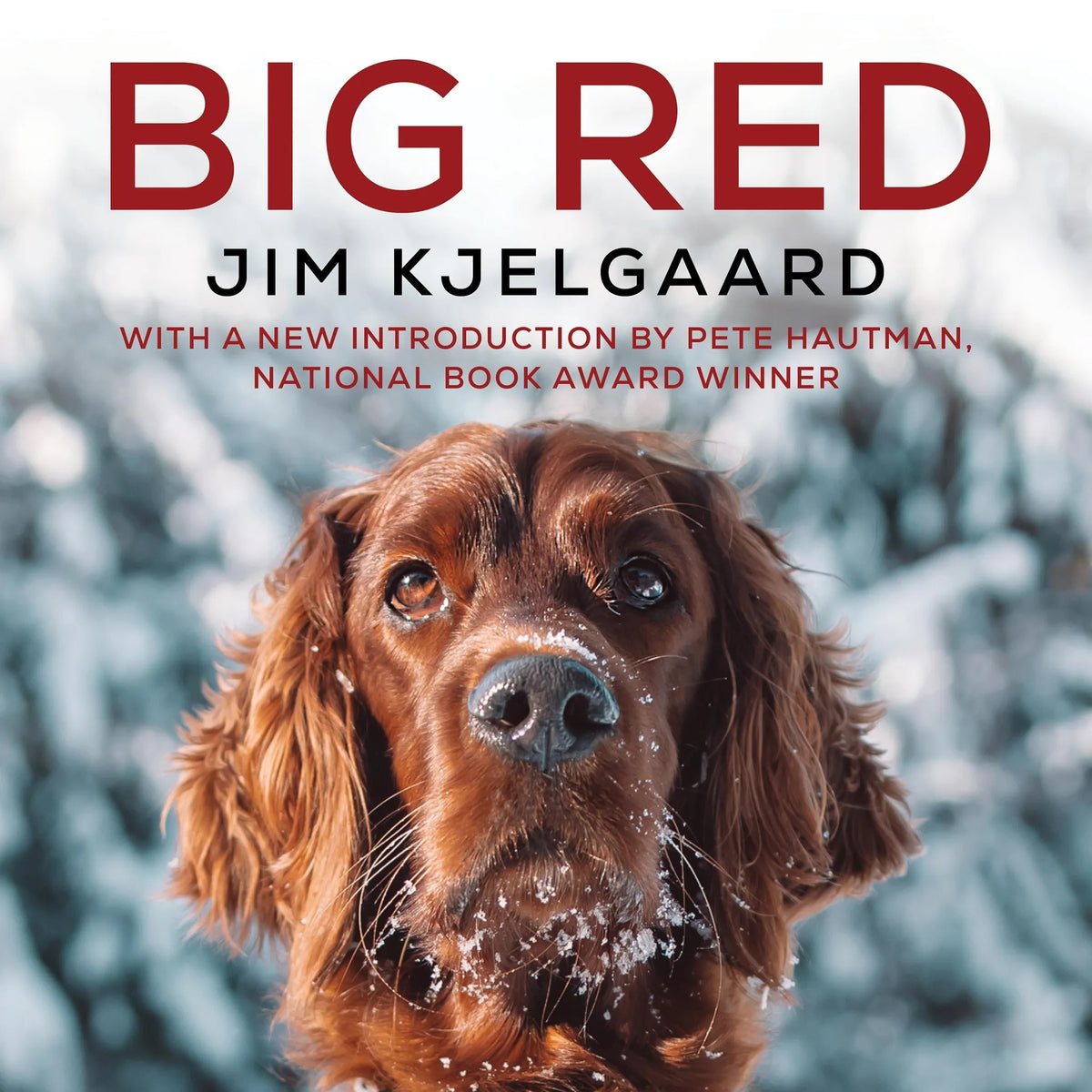 Big Red (75th Anniversary Edition)