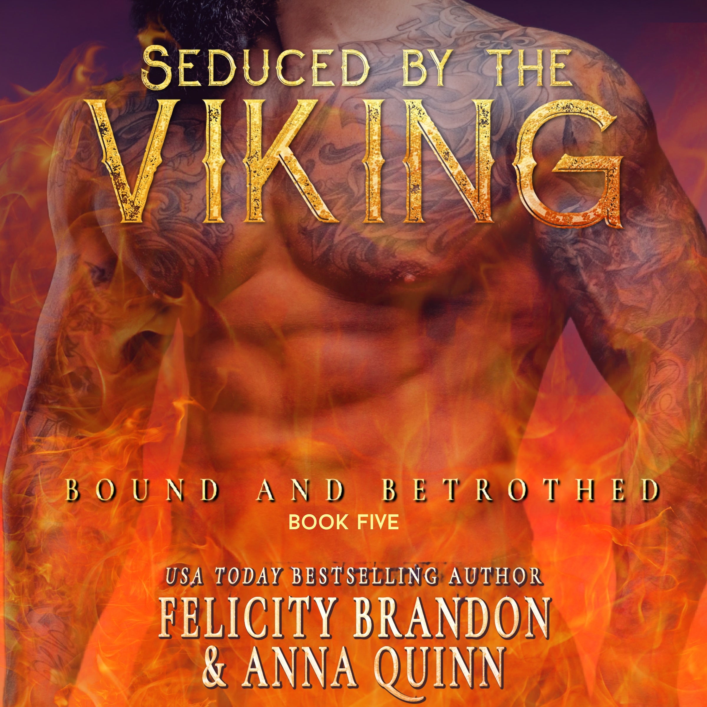 Seduced by the Viking