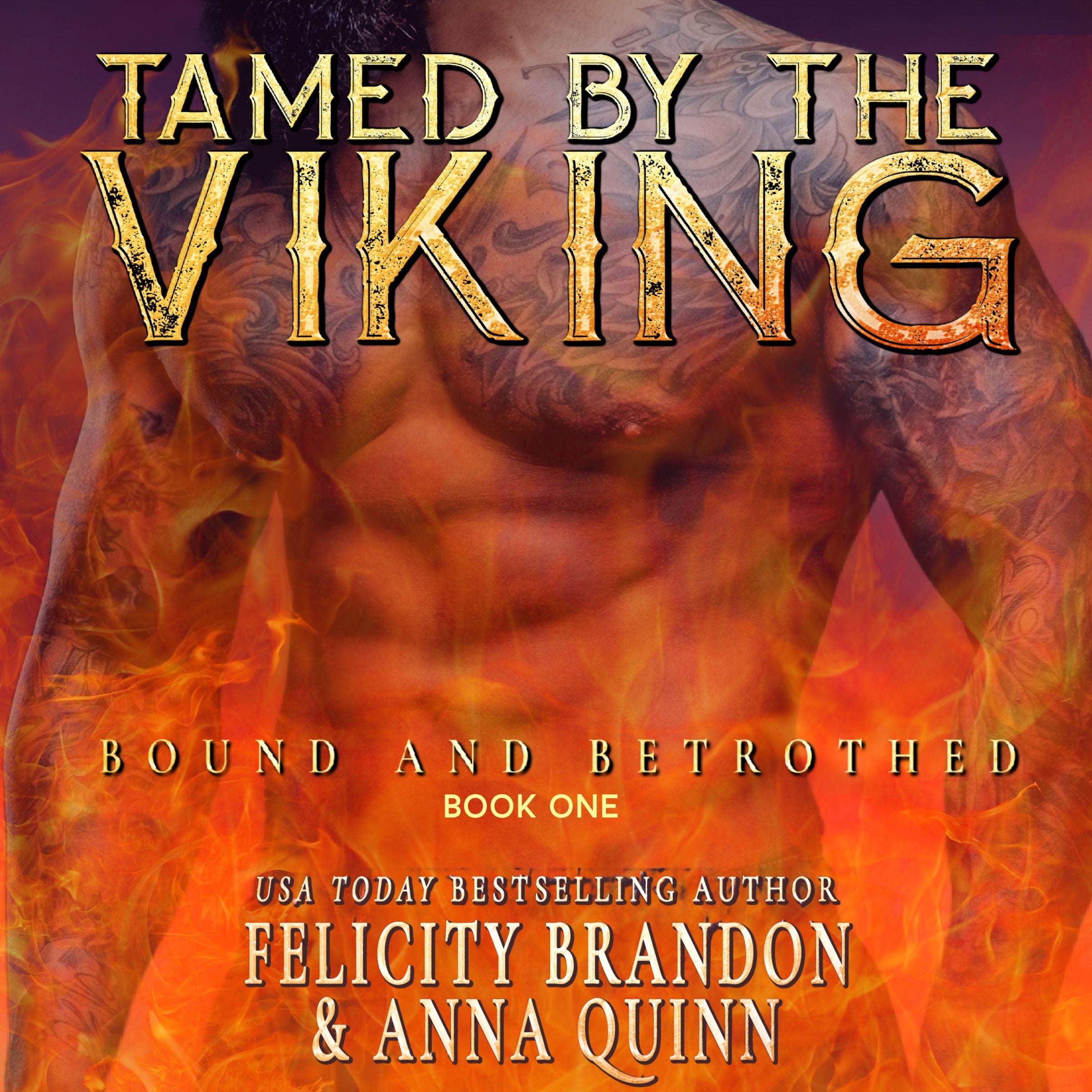 Tamed by the Viking