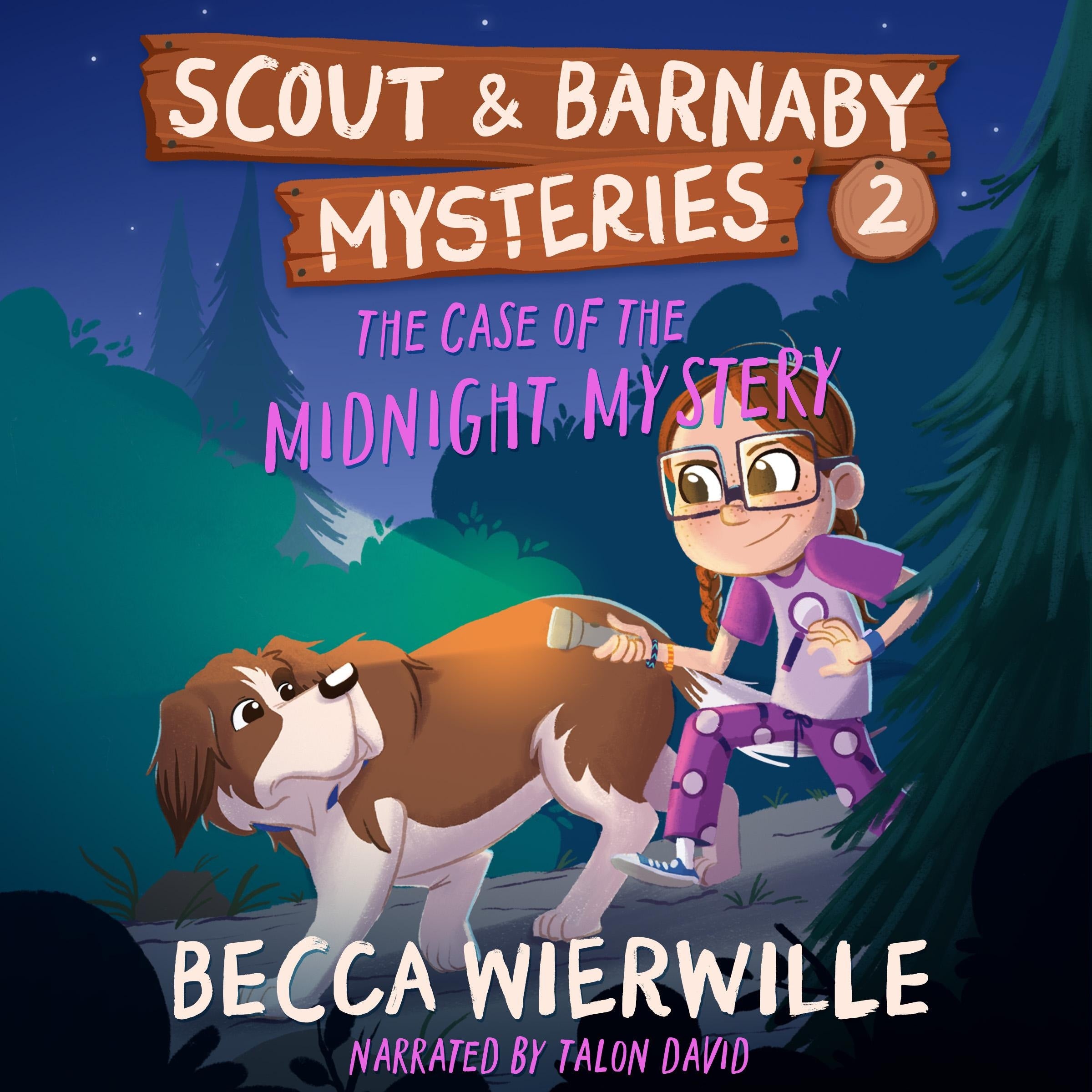 The Case of the Midnight Mystery