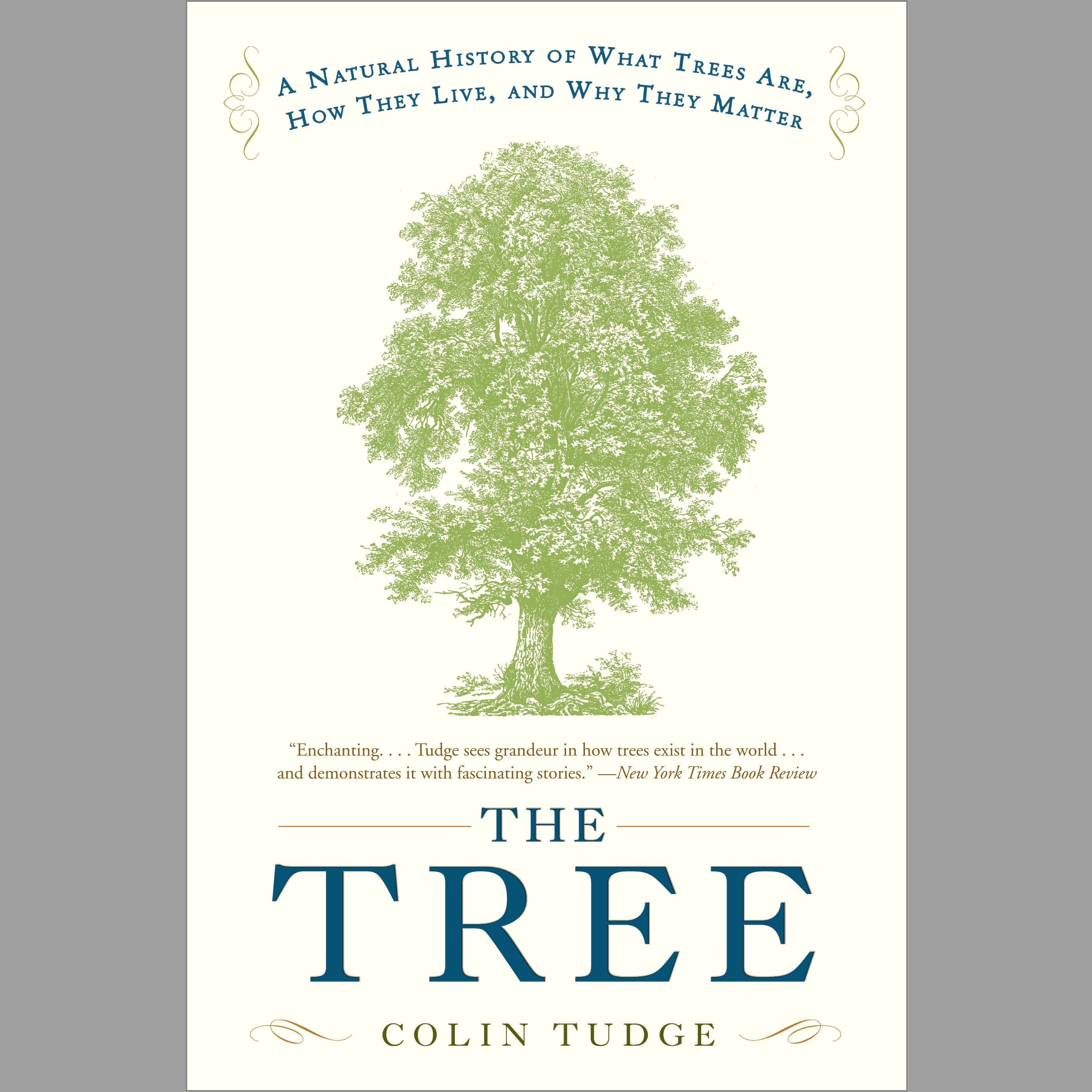 The Tree