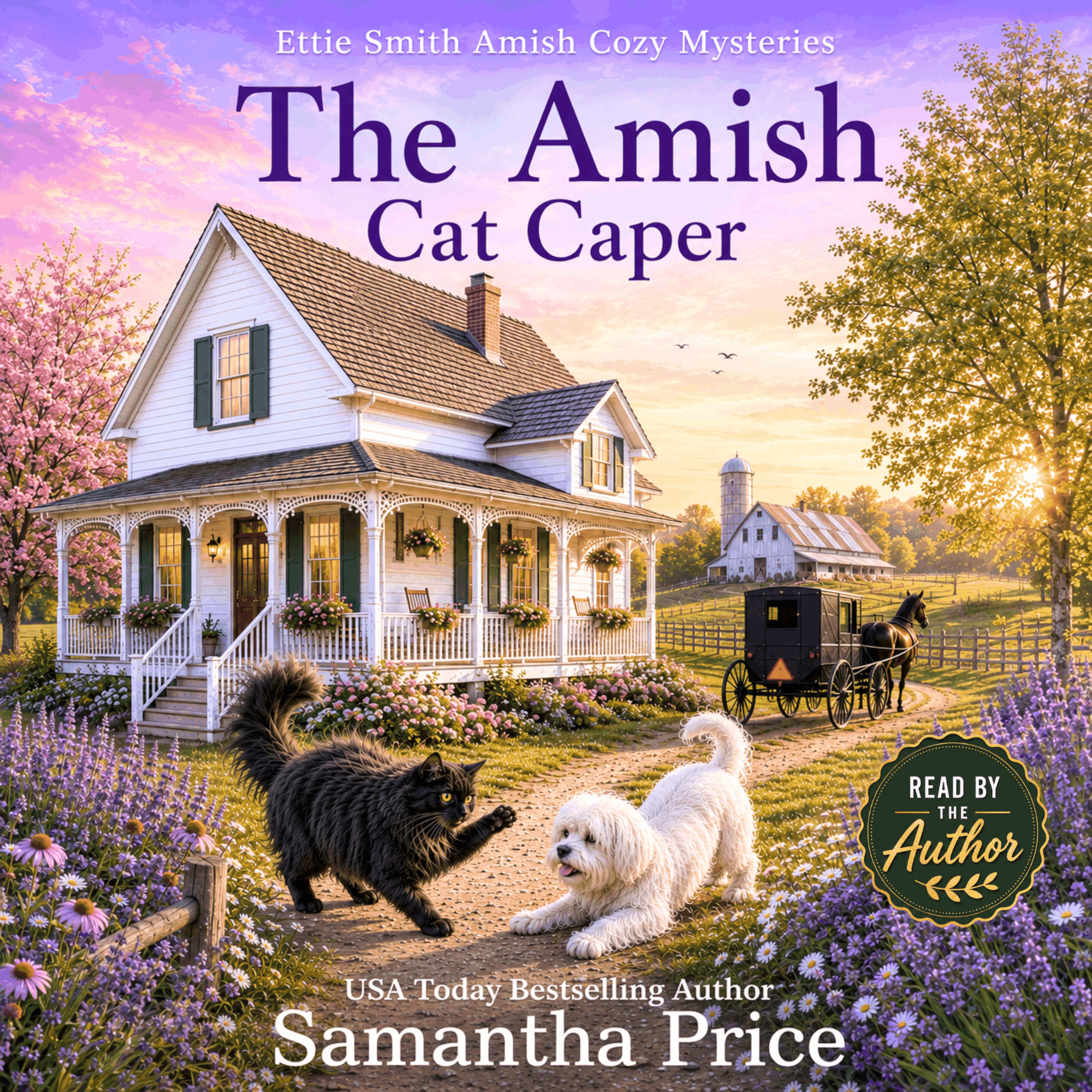 The Amish Cat Caper