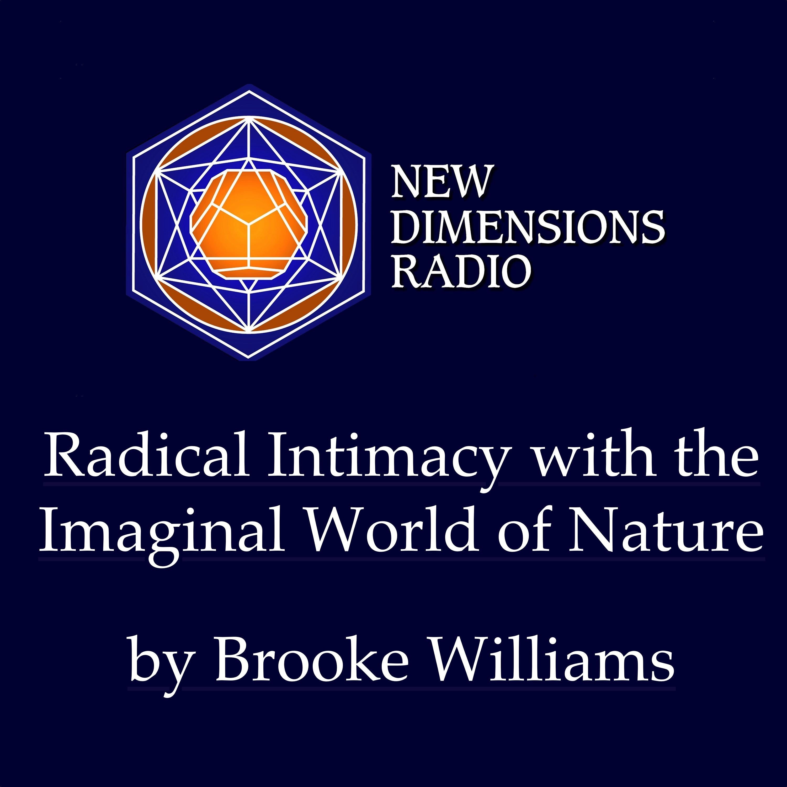Radical Intimacy with the Imaginal World of Nature
