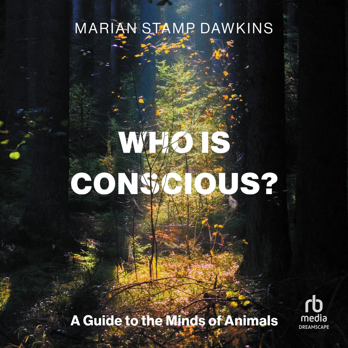 Who is Conscious?