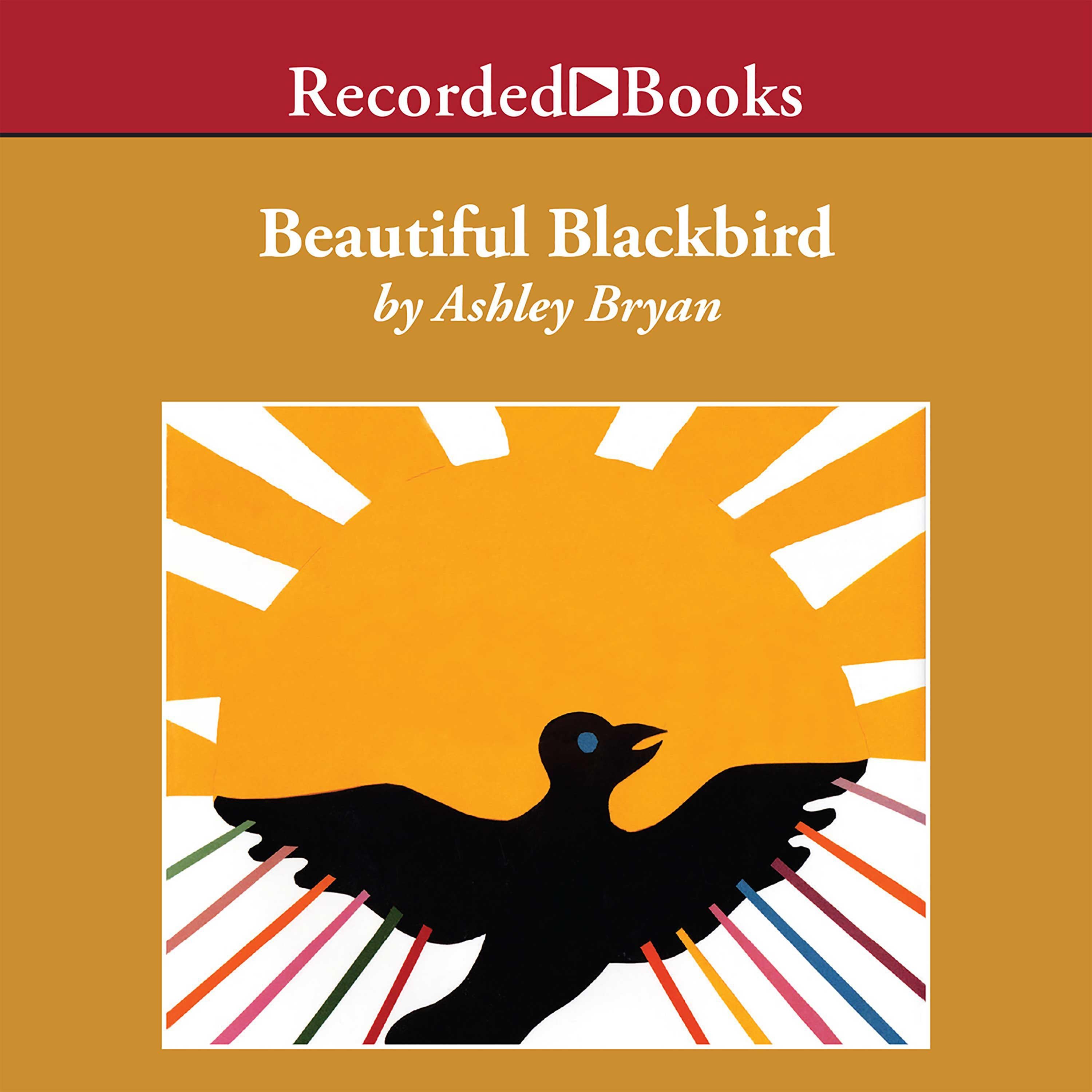 Beautiful Blackbird