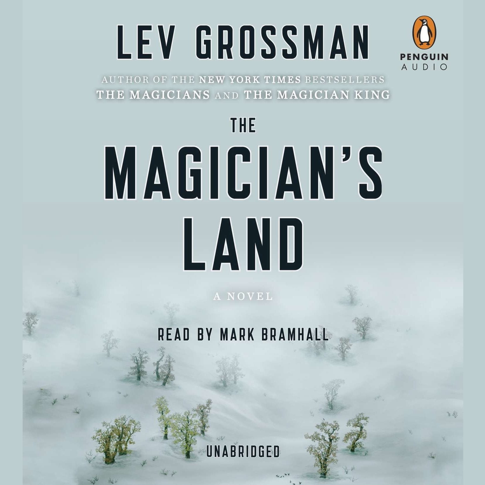 The Magician's Land
