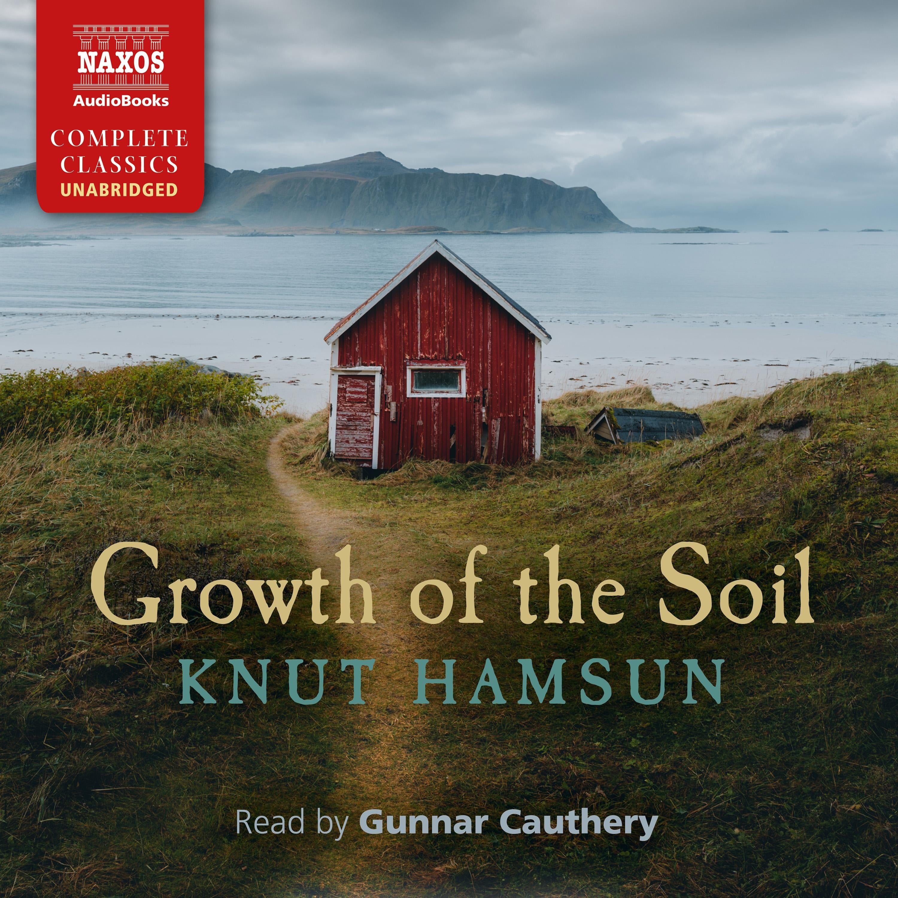Growth of the Soil