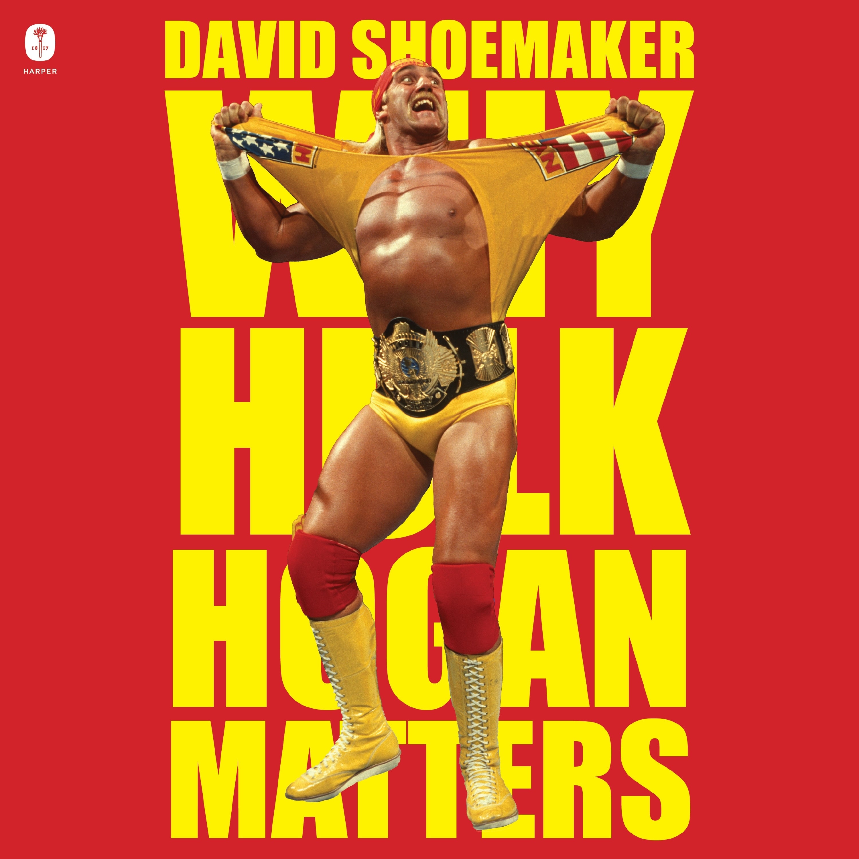 Why Hulk Hogan Matters