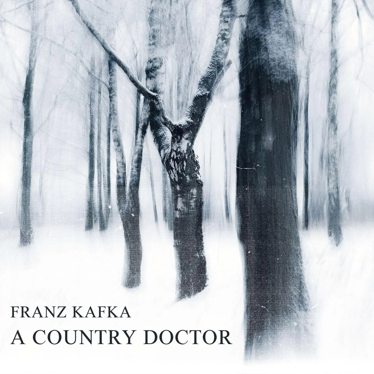 A Country Doctor