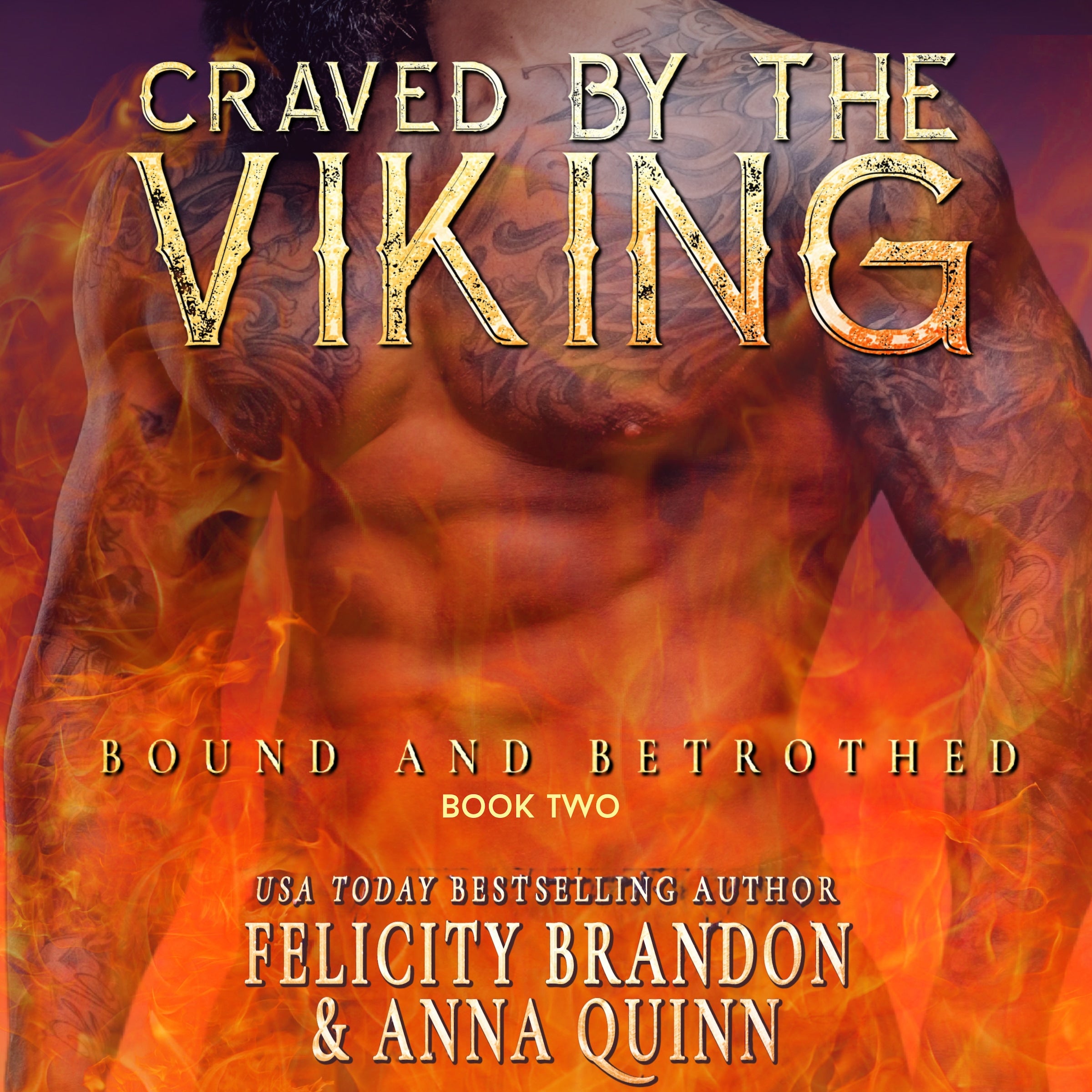Craved by the Viking