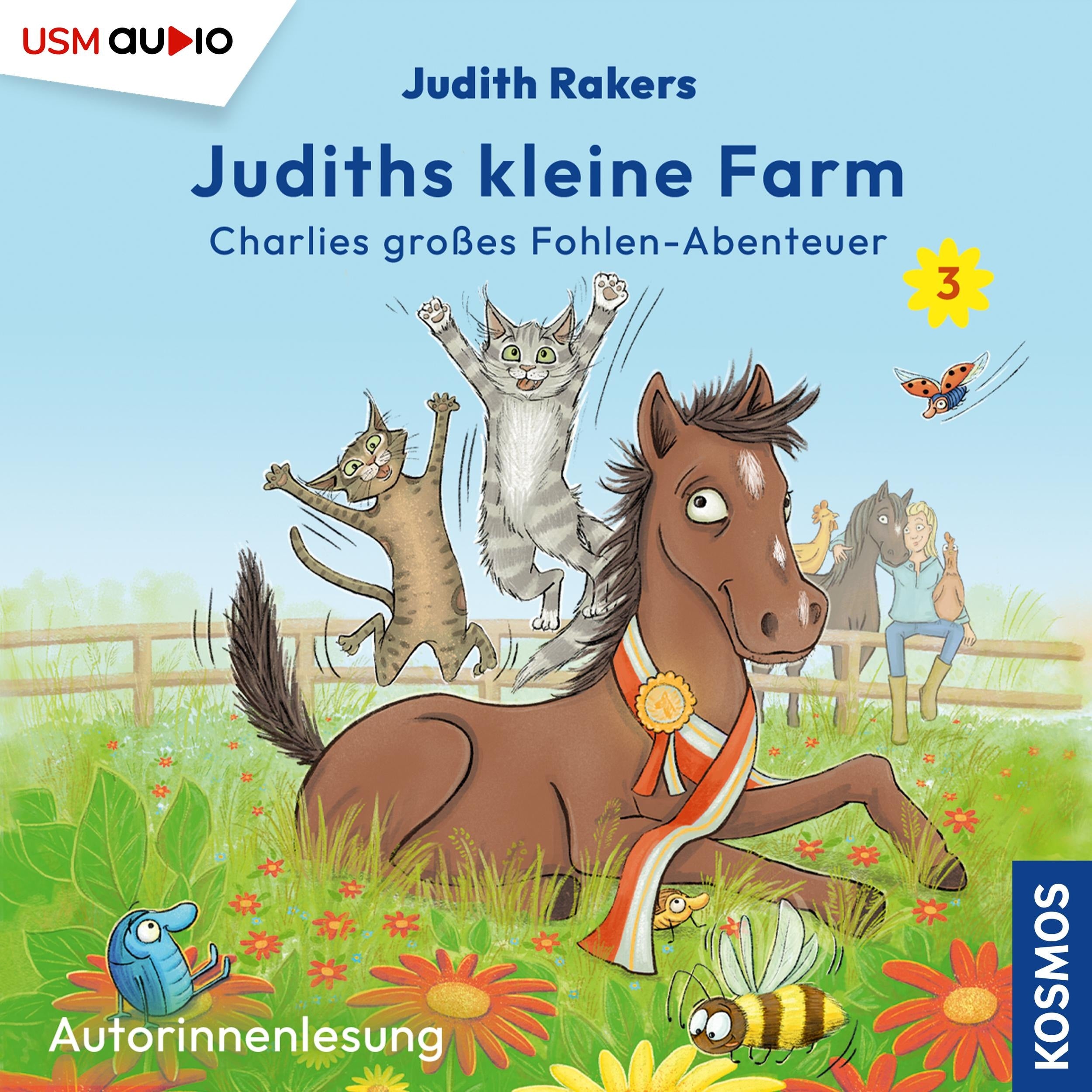 Charlies großes Fohlen-Abenteuer - Judiths kleine Farm, Teil 3 (ungekürzt)