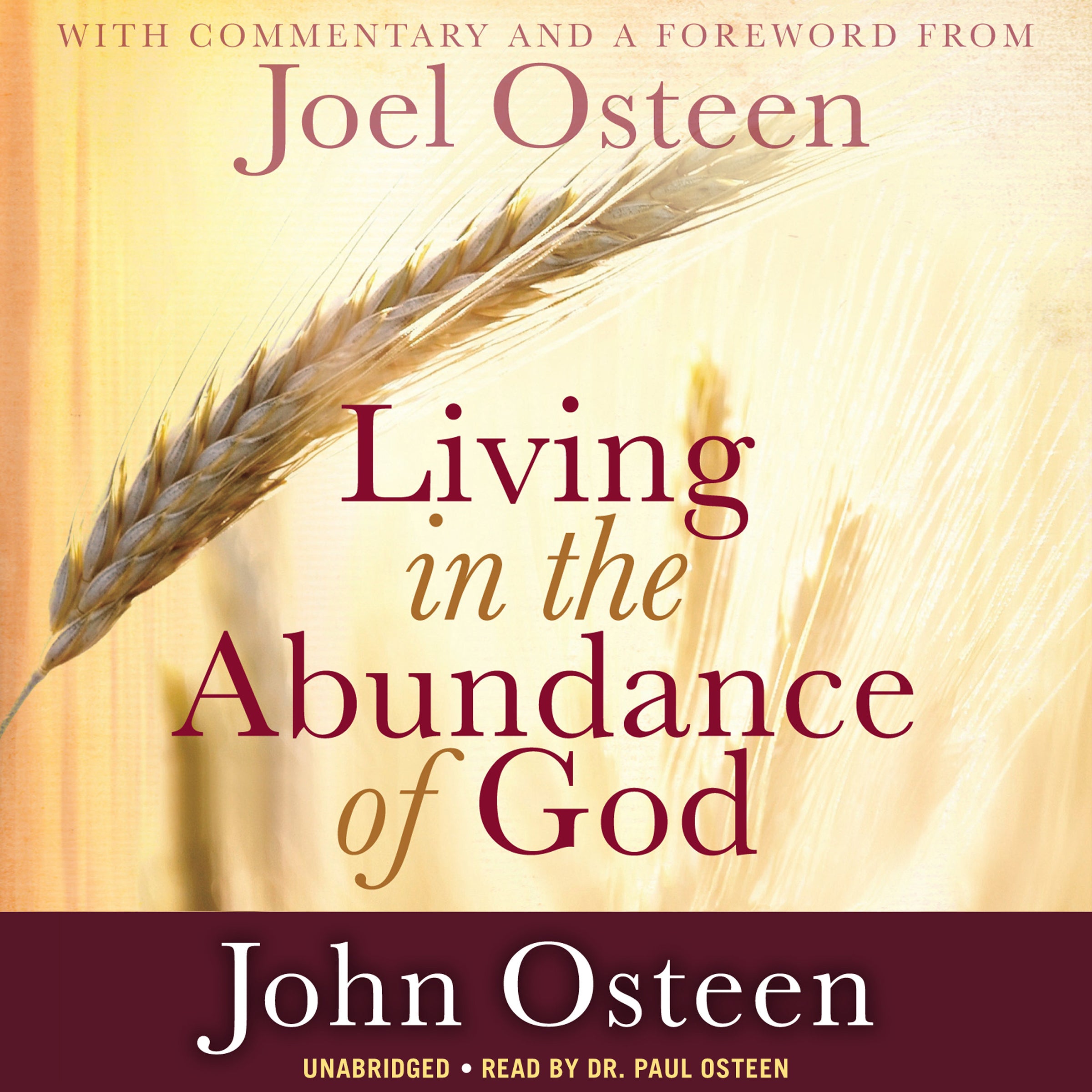 Living in the Abundance of God