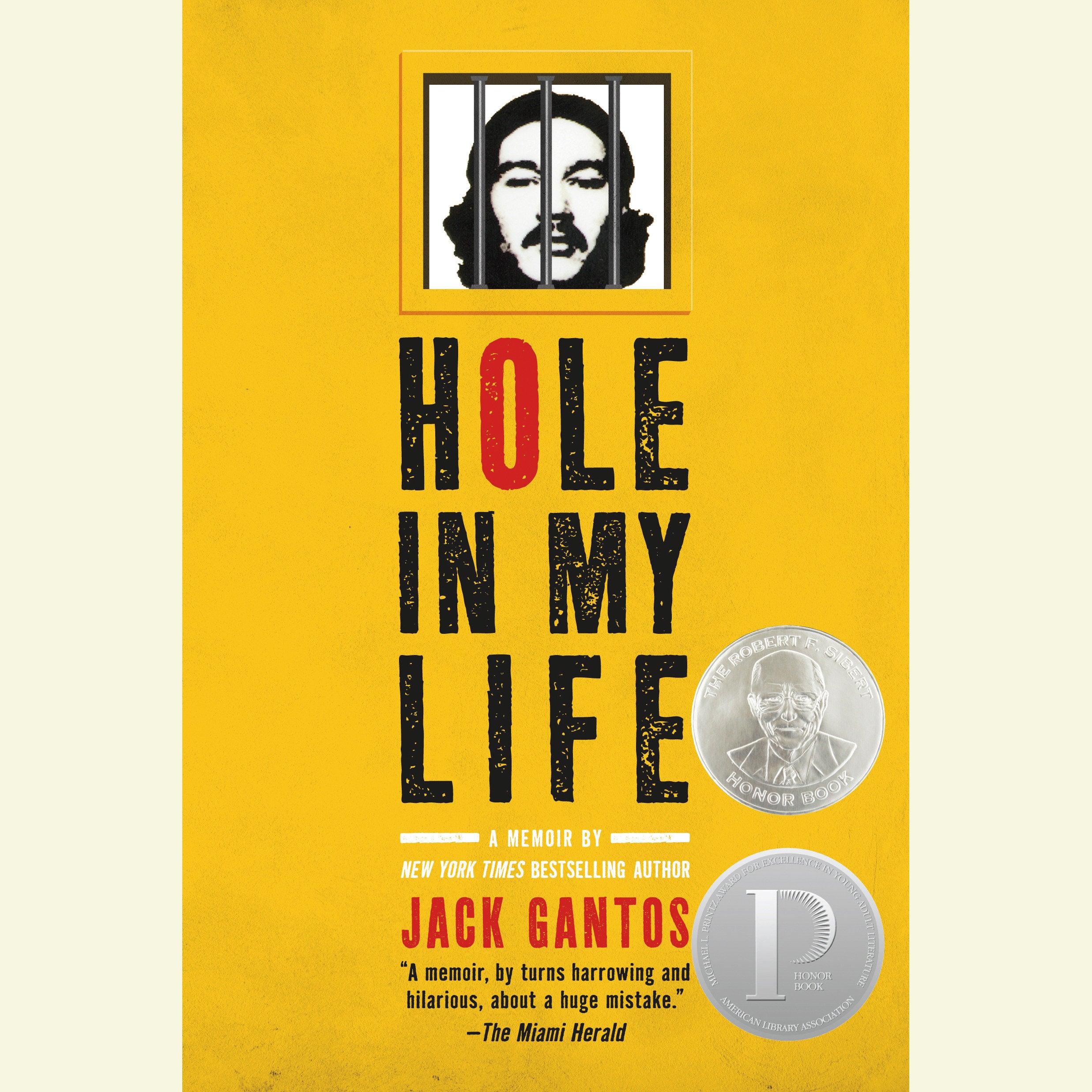 Hole In My Life