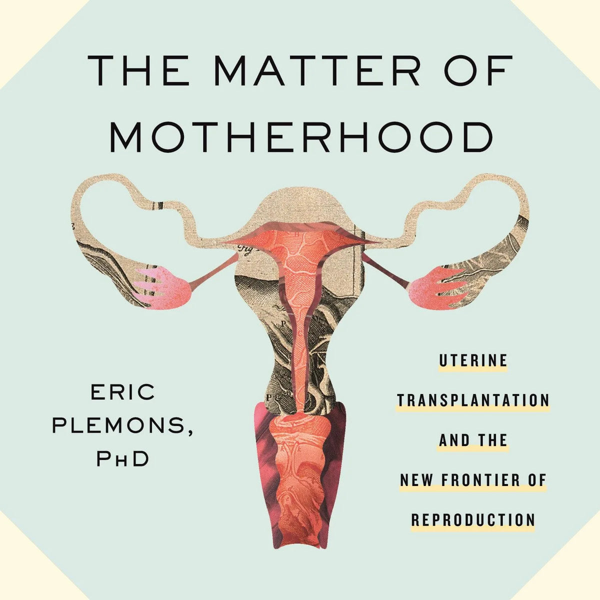 The Matter of Motherhood