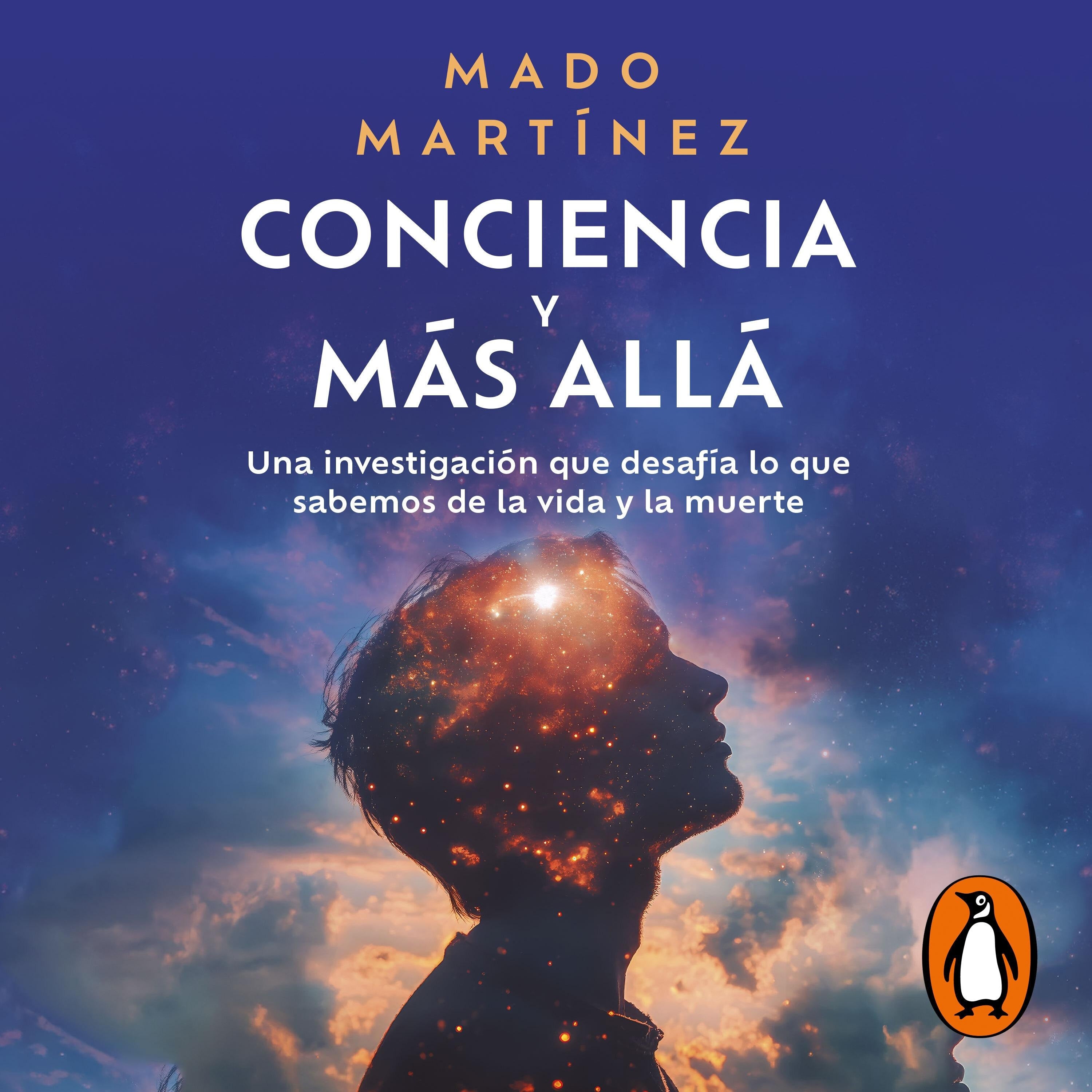 Conciencia y más allá