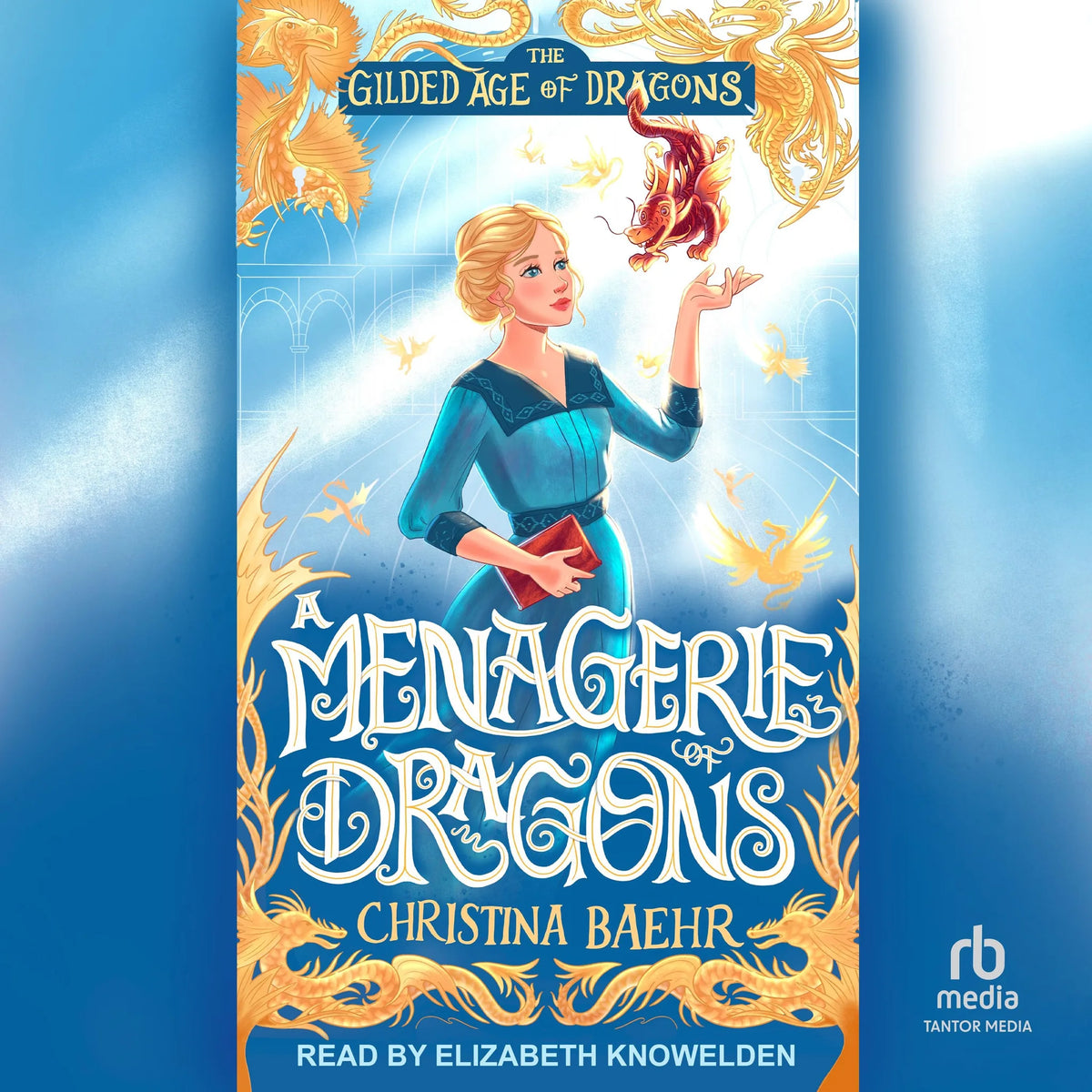 A Menagerie of Dragons