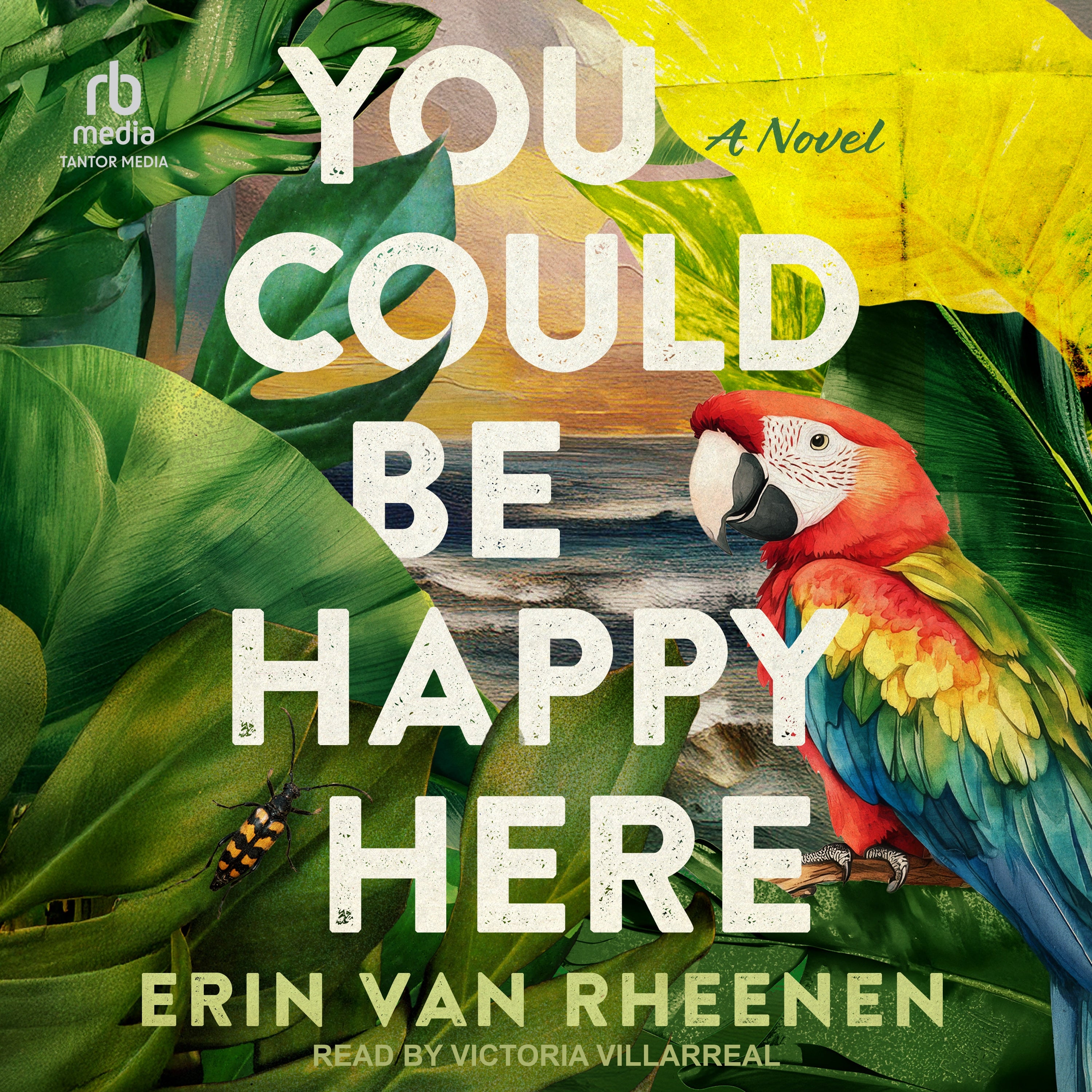 You Could Be Happy Here