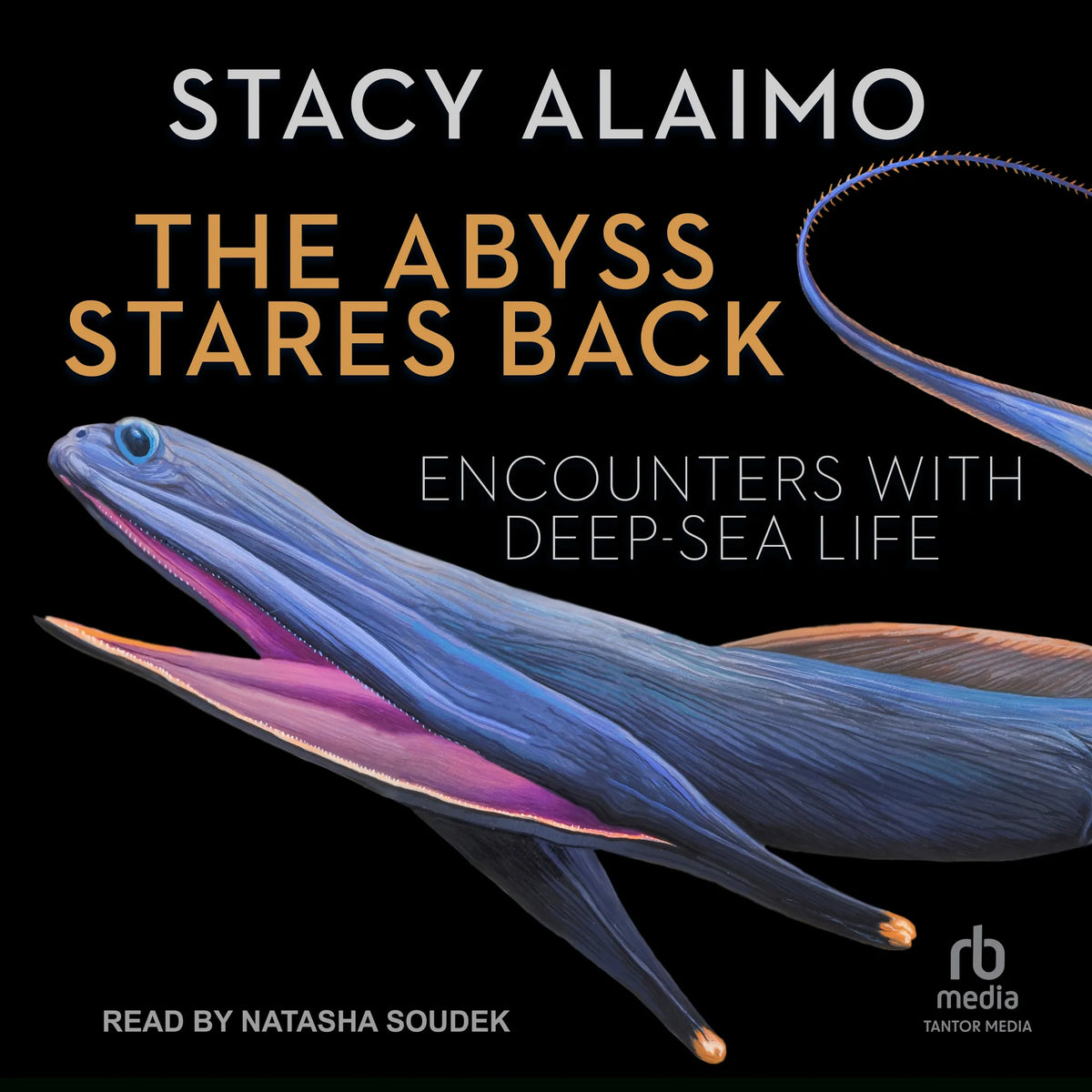 The Abyss Stares Back
