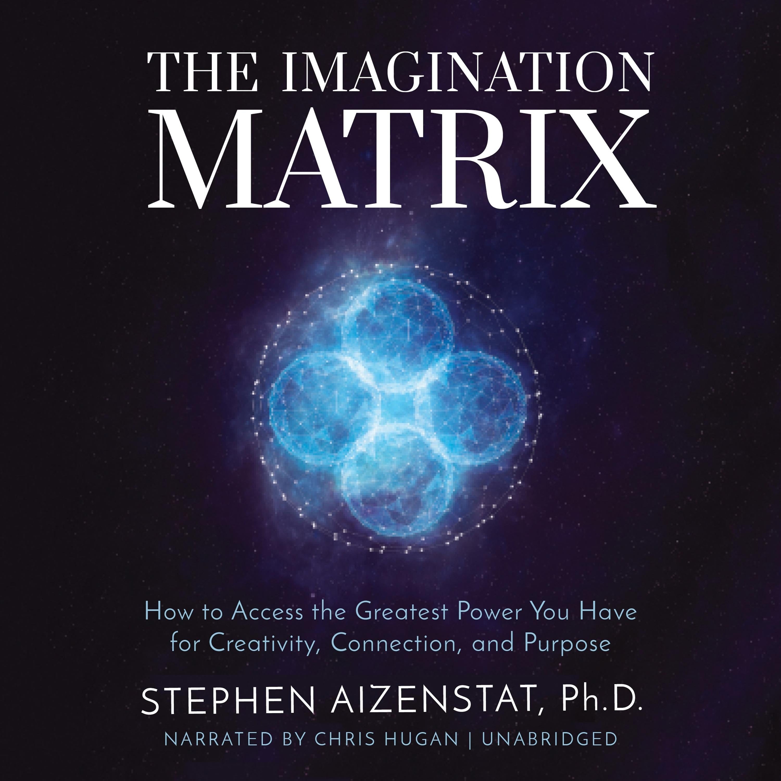 The Imagination Matrix