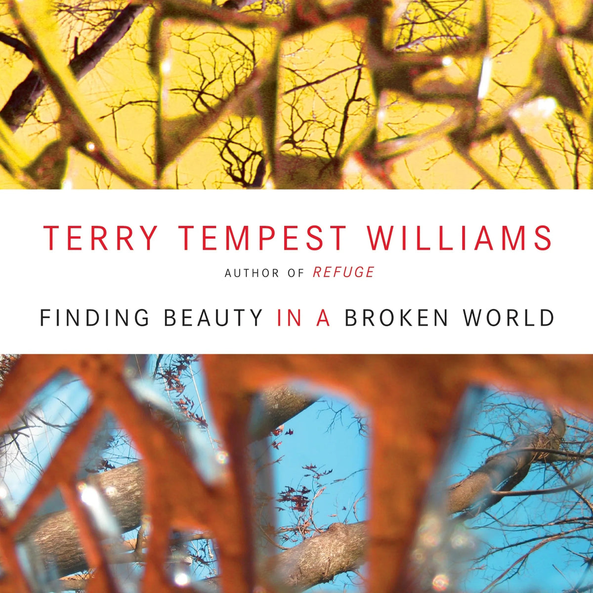 Finding Beauty in a Broken World