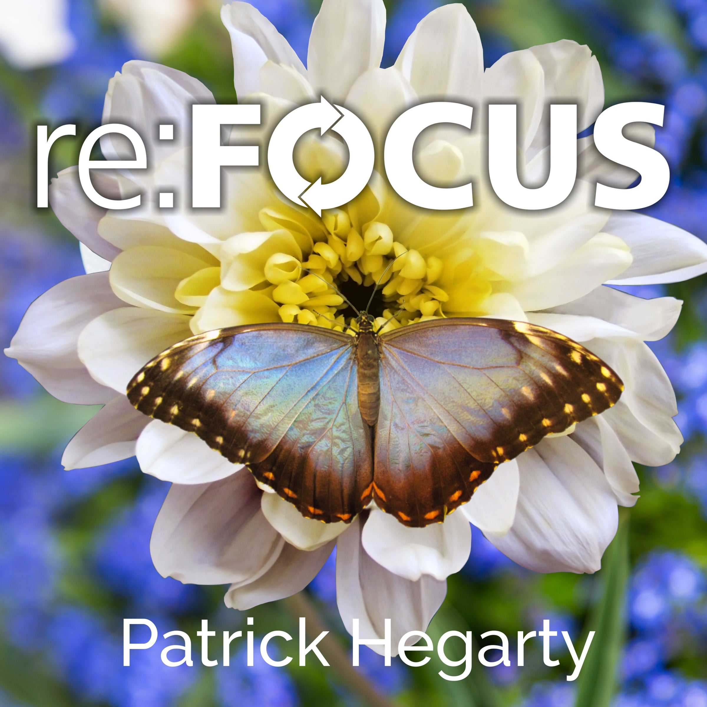 re:FOCUS