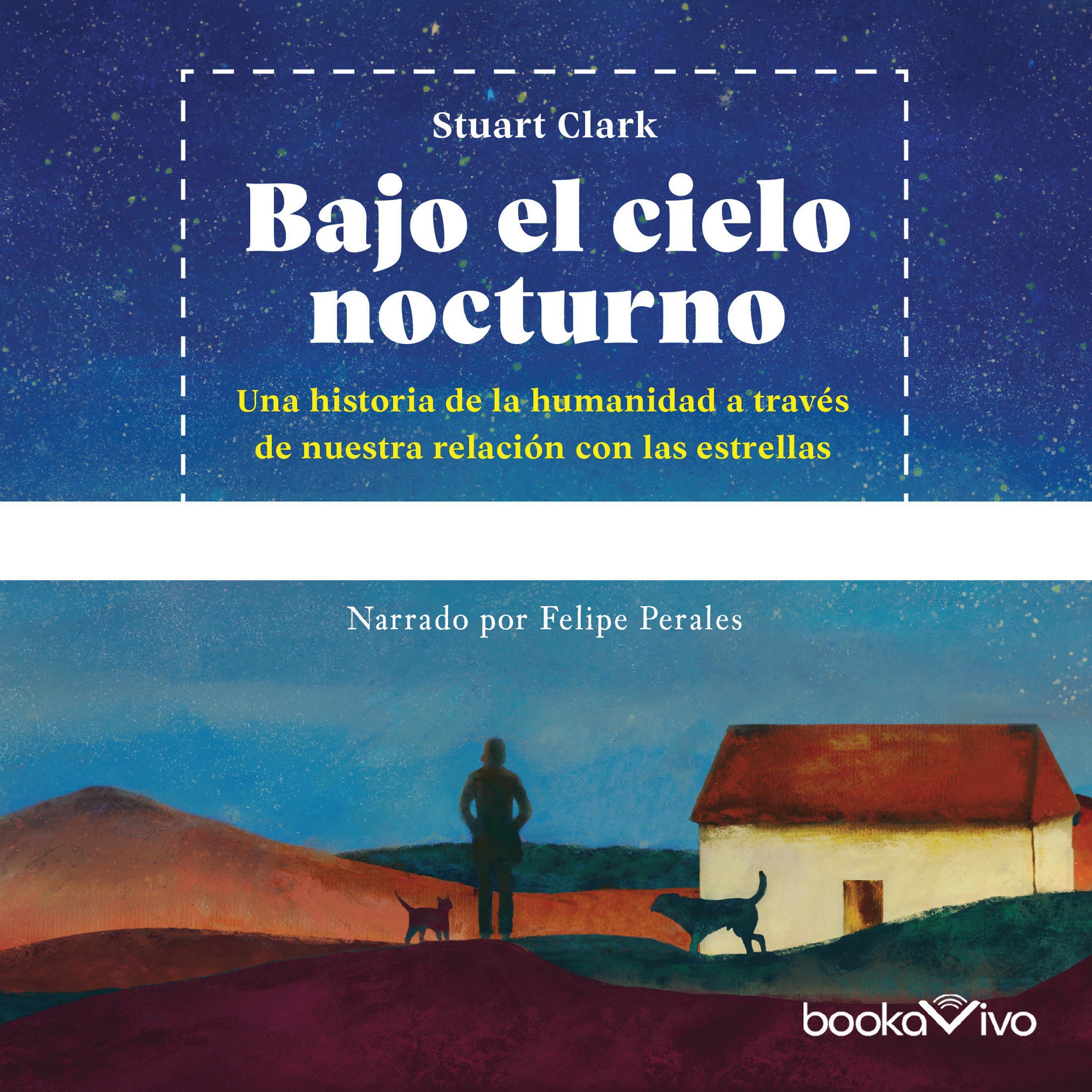 Bajo el cielo nocturno