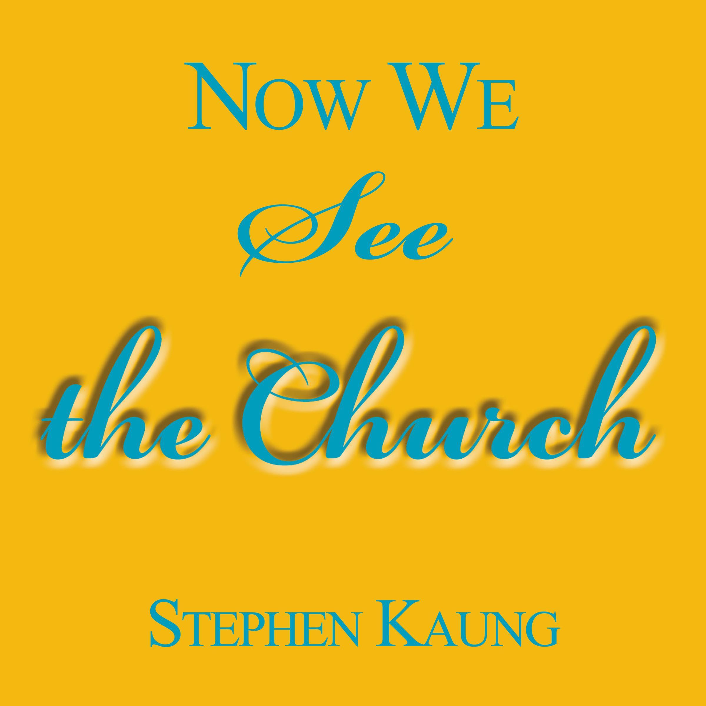 Now We See the Church