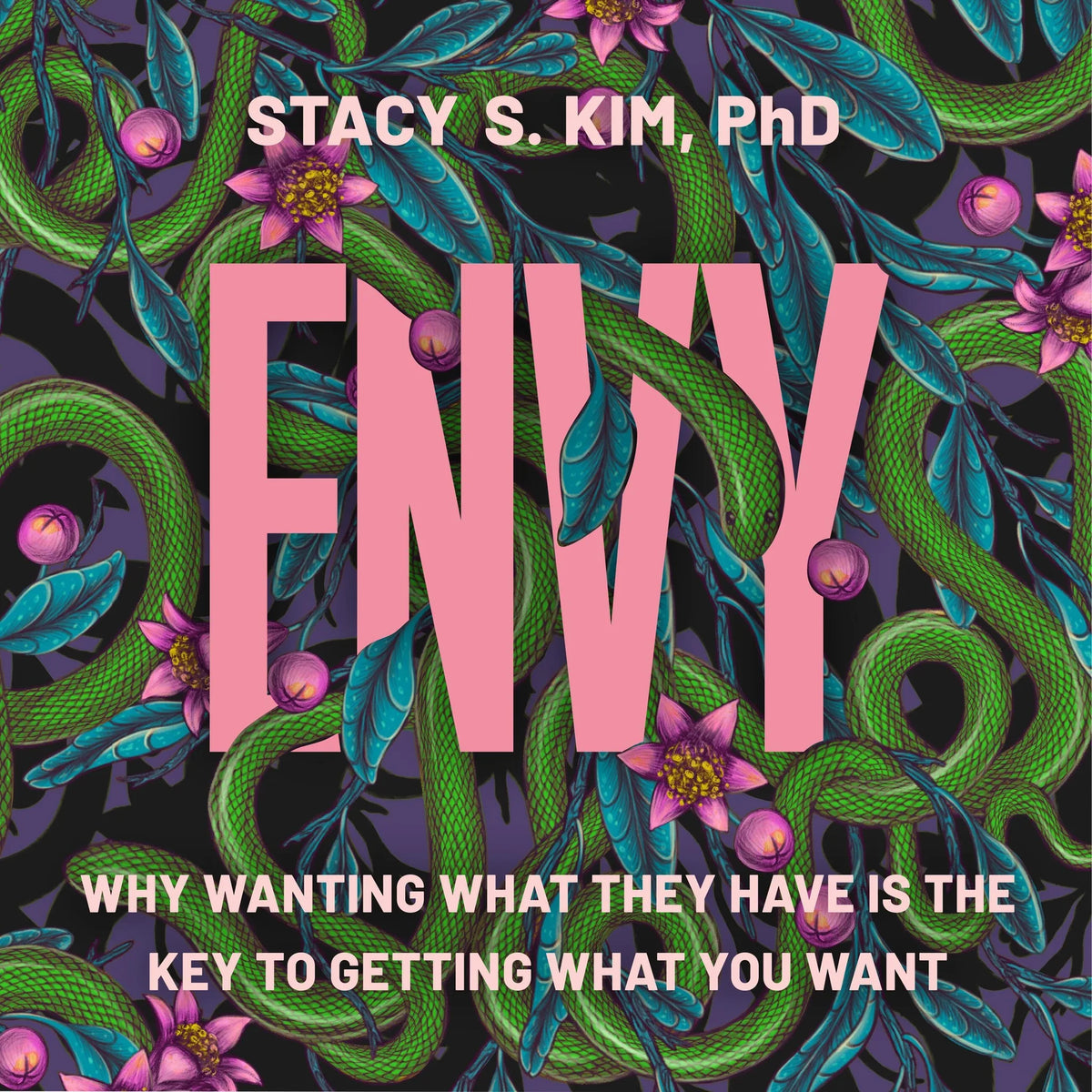 Envy