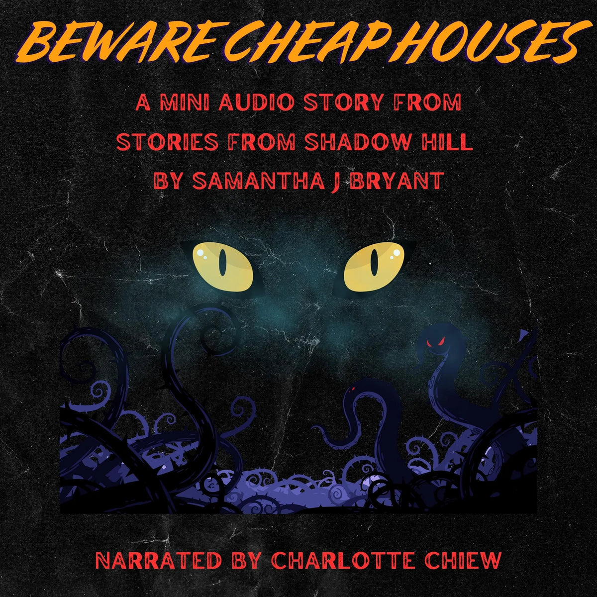 Beware Cheap Houses