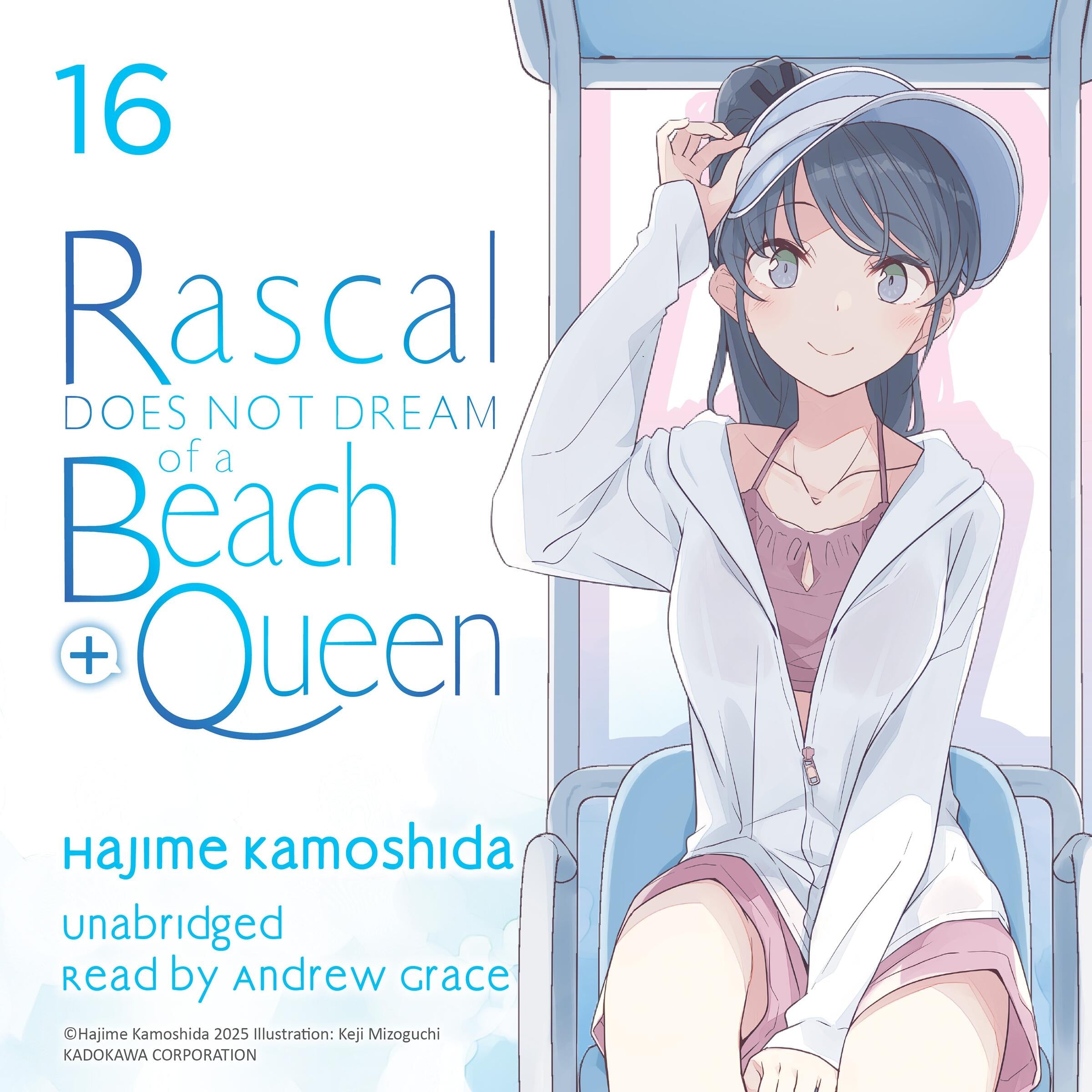 Rascal Does Not Dream of a Beach Queen + (light novel)