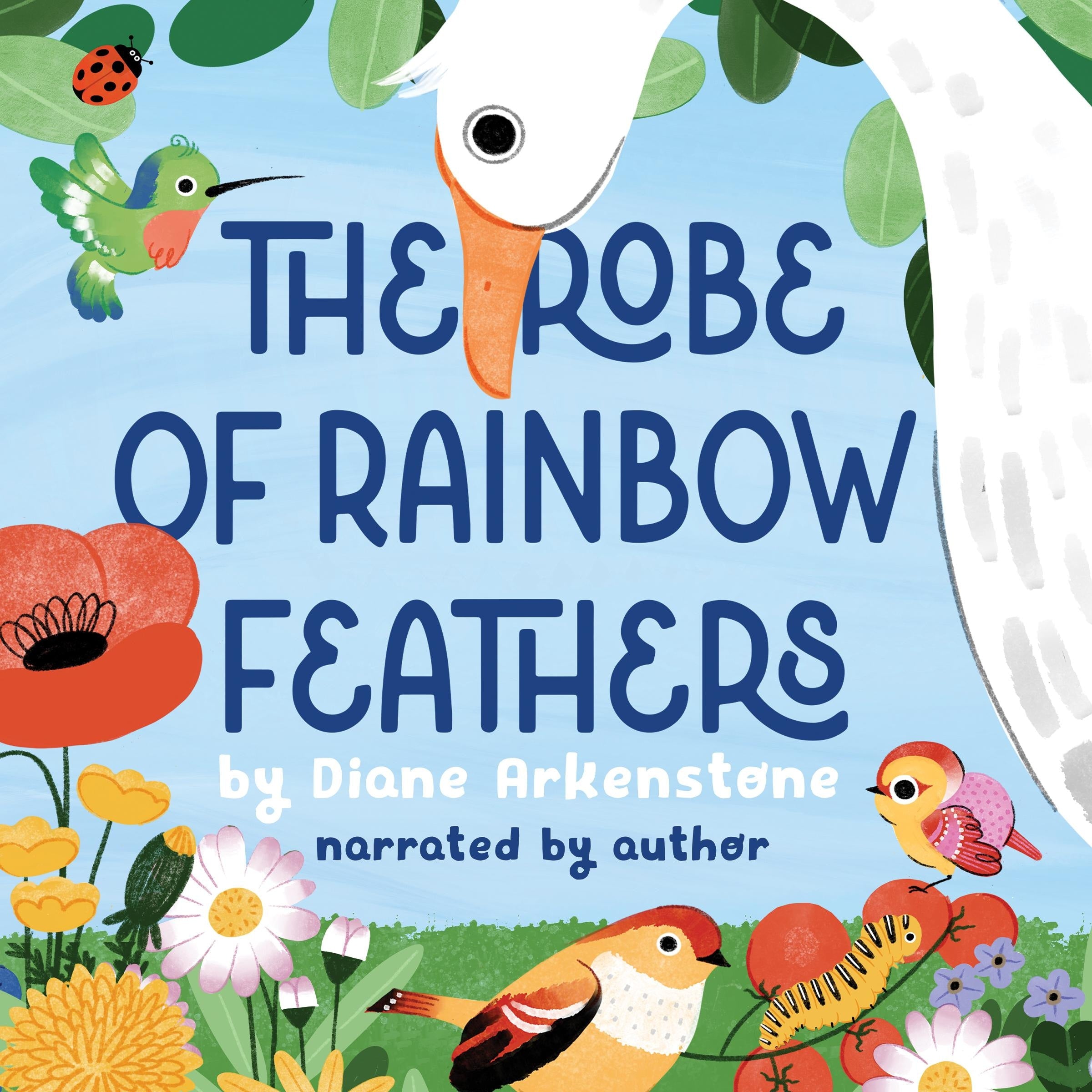 The Robe of Rainbow Feathers