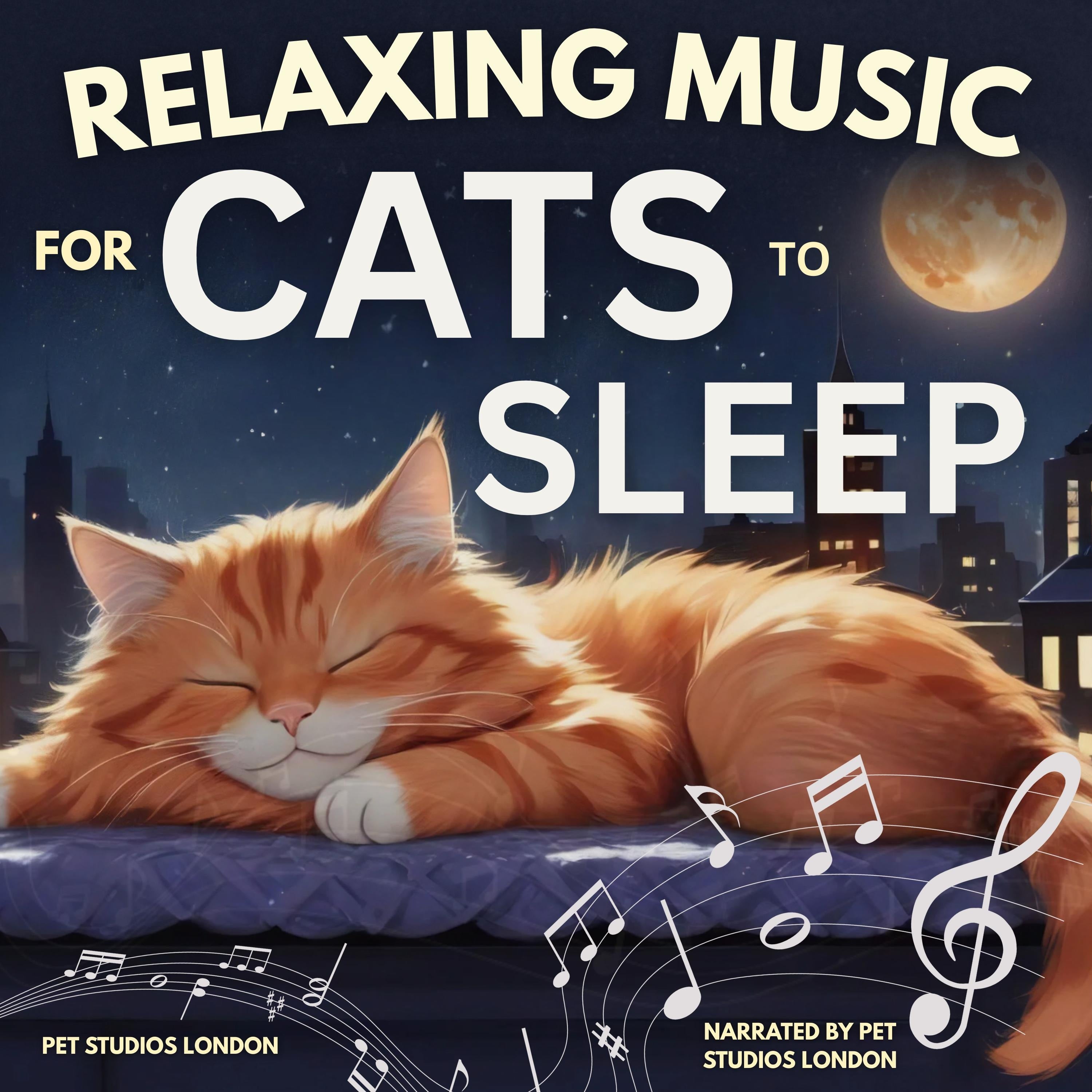 Relaxing Music for Cats to Sleep