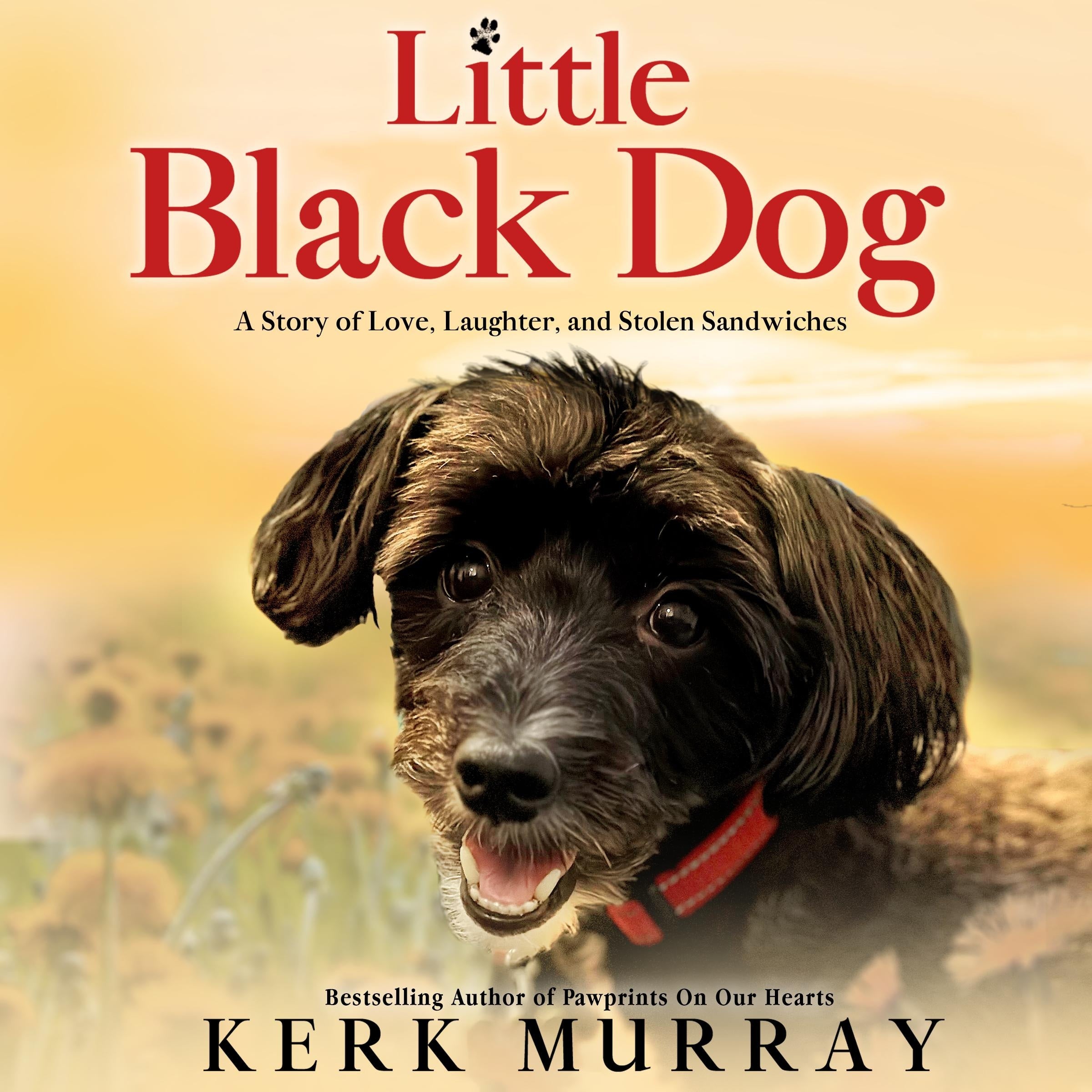 Little Black Dog