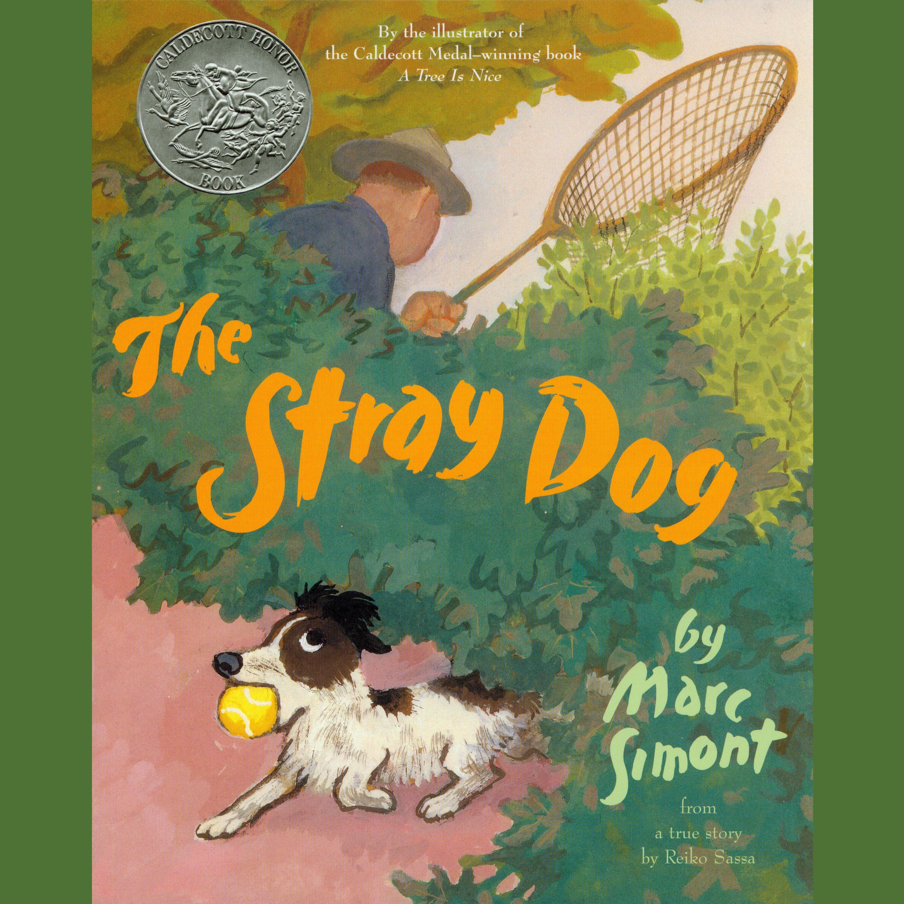 The Stray Dog