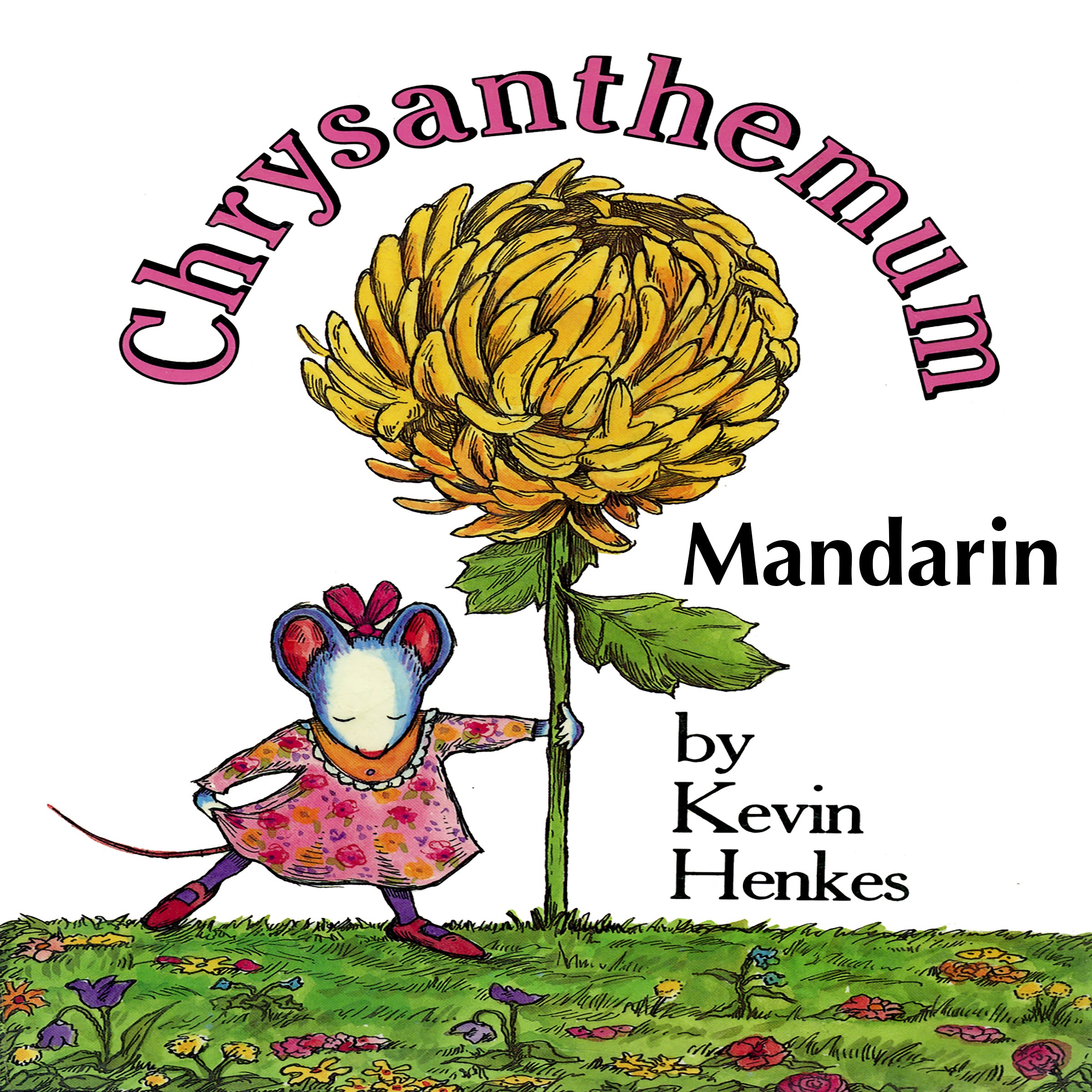 Chrysanthemum