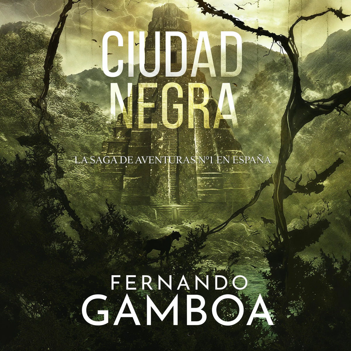 CIUDAD NEGRA