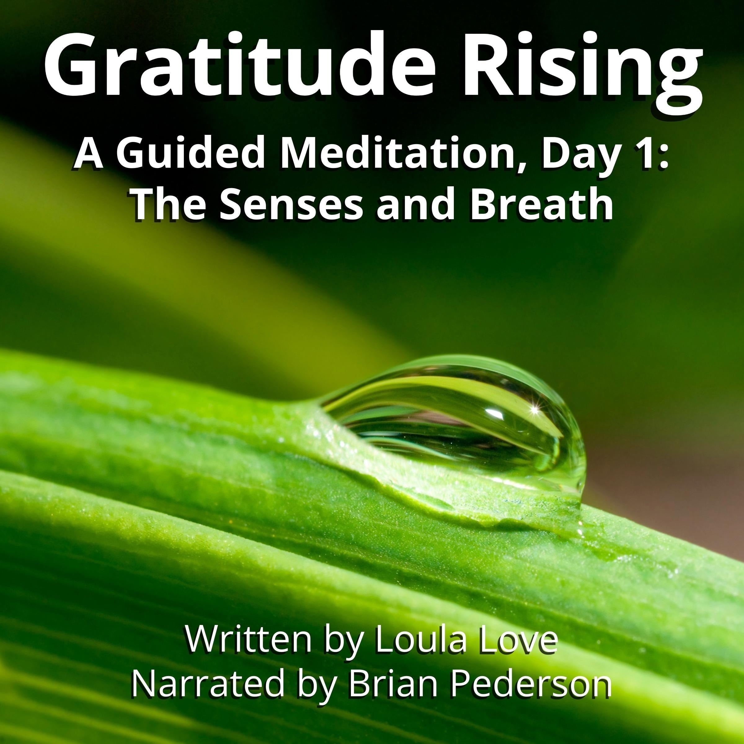 Gratitude Rising, Day 1: A Guided Meditation