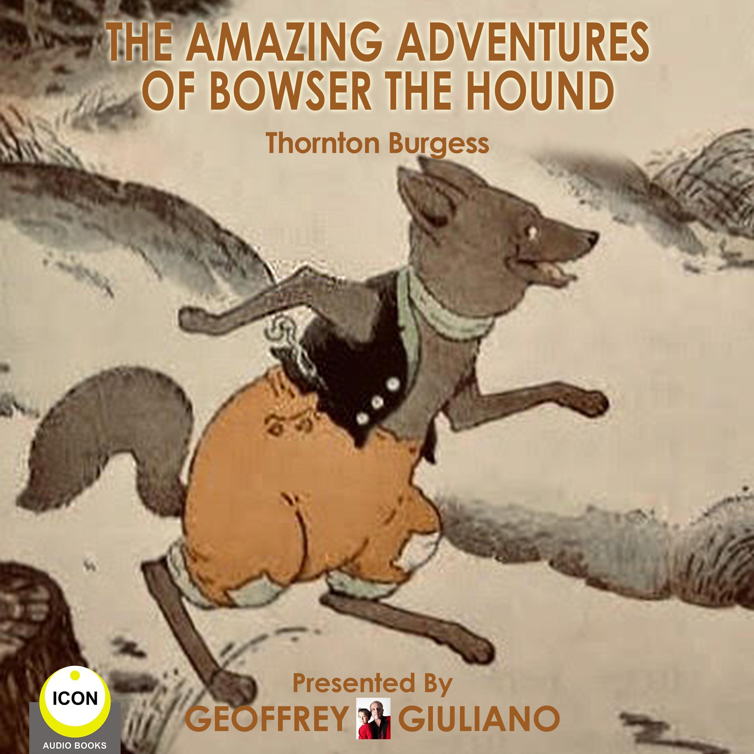 The Amazing Adventures Of Bowser The Hound