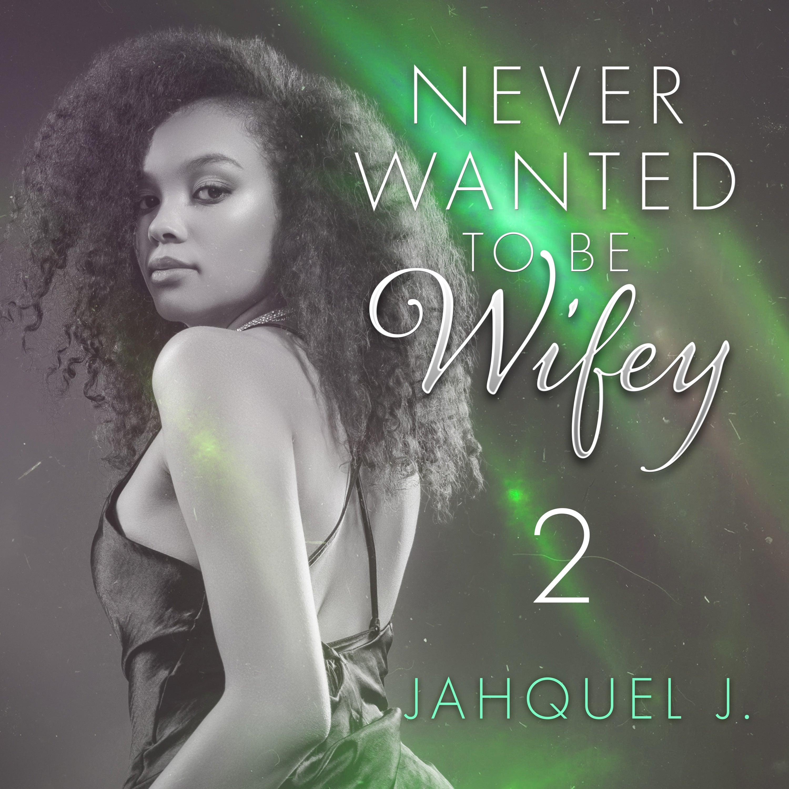 Never Wanted To Be Wifey 2