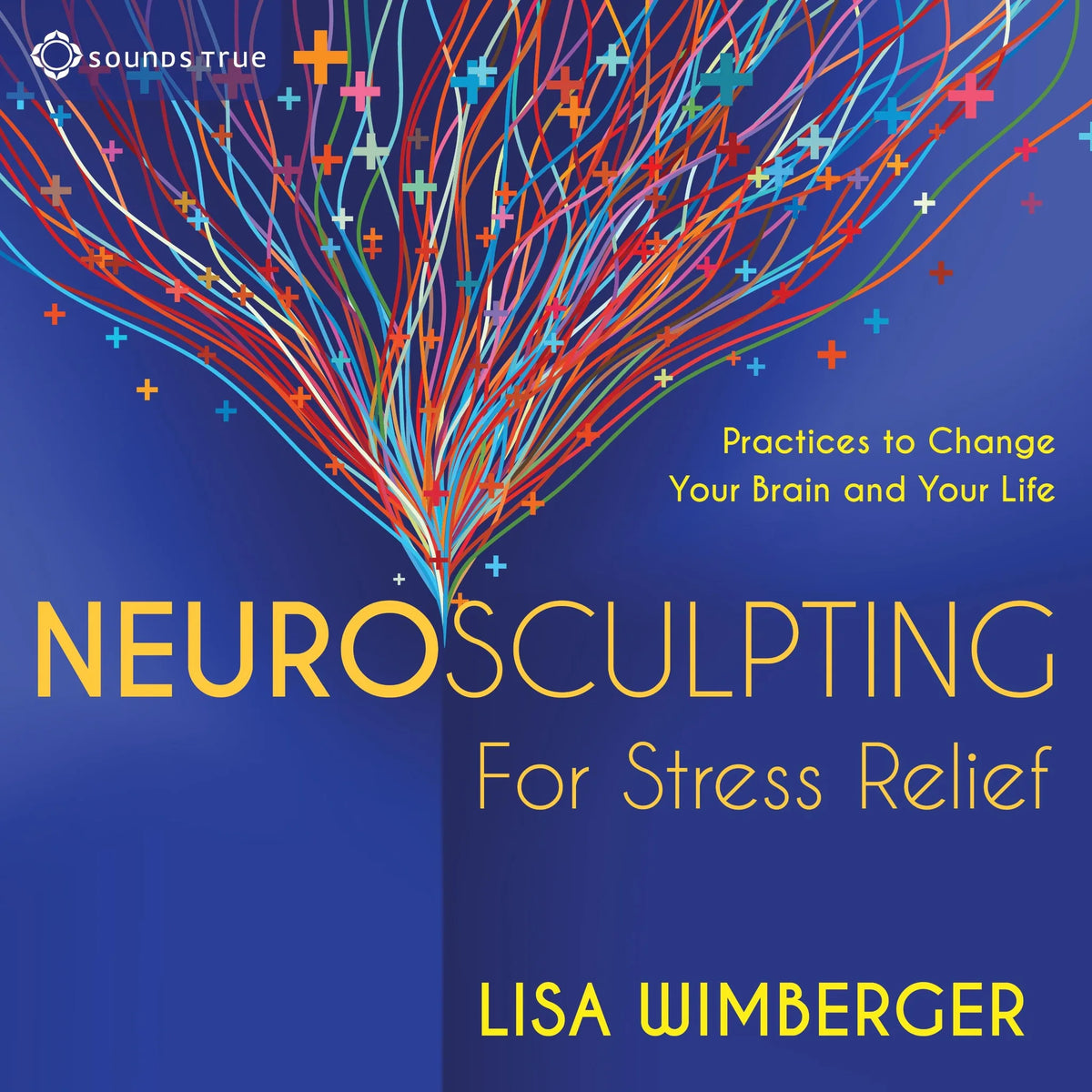 Neurosculpting for Stress Relief