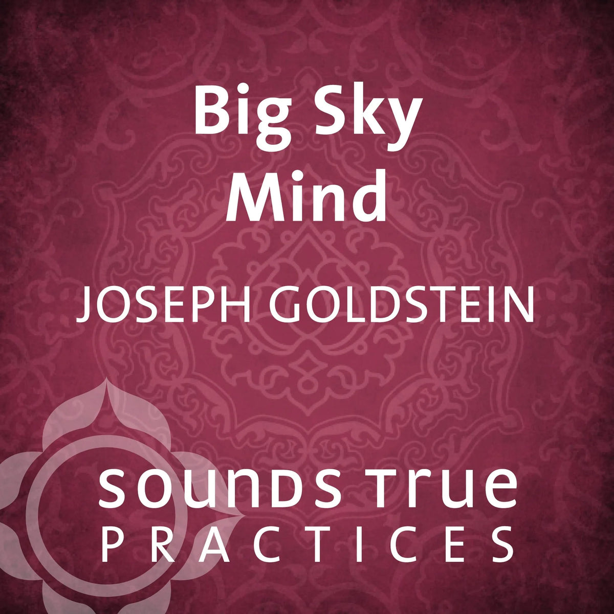 Big Sky Mind