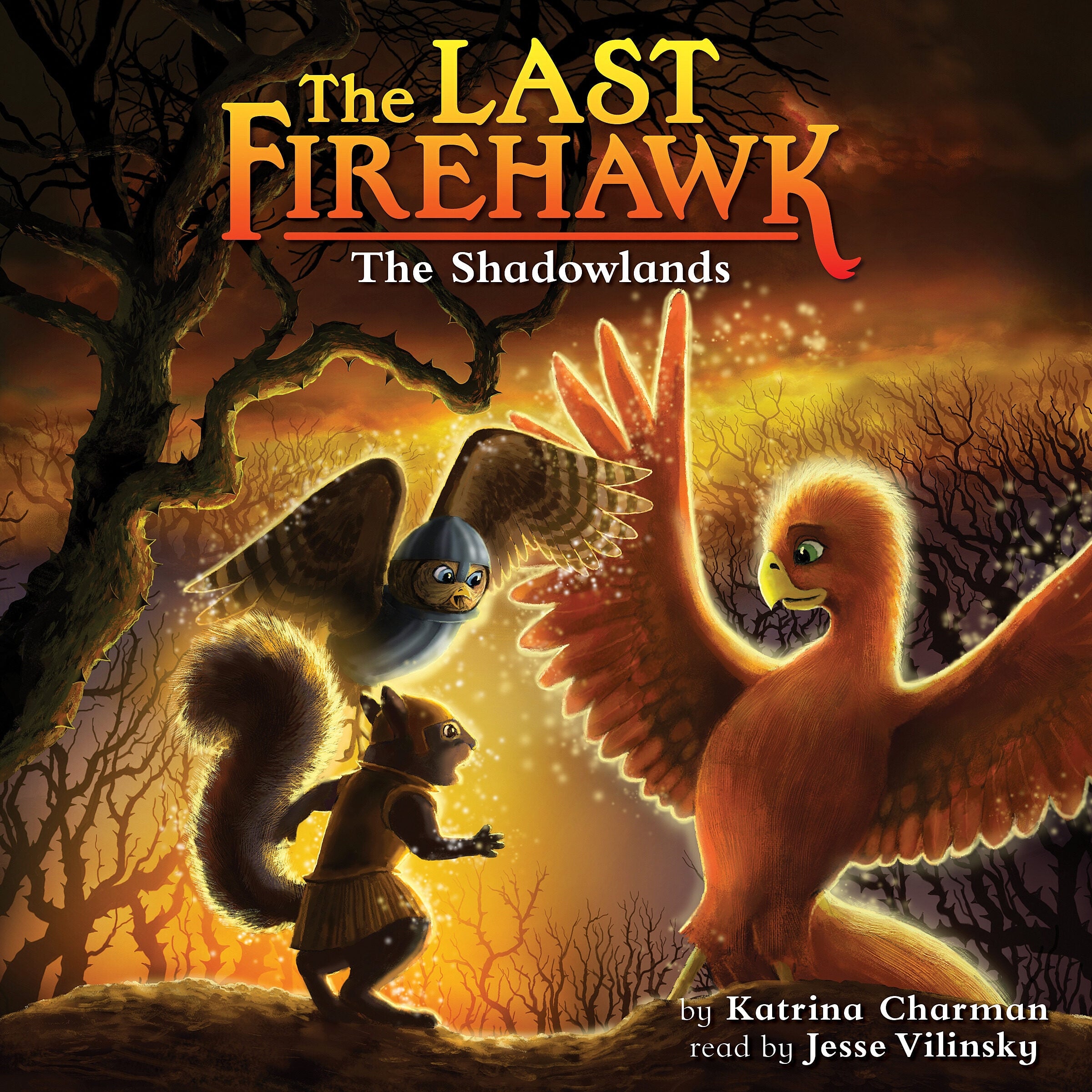 The Shadowlands (The Last Firehawk #5)